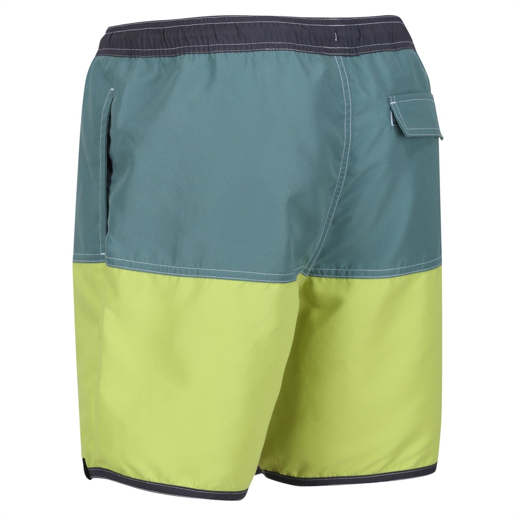 Regatta Benicio Color Block Swim Trunk