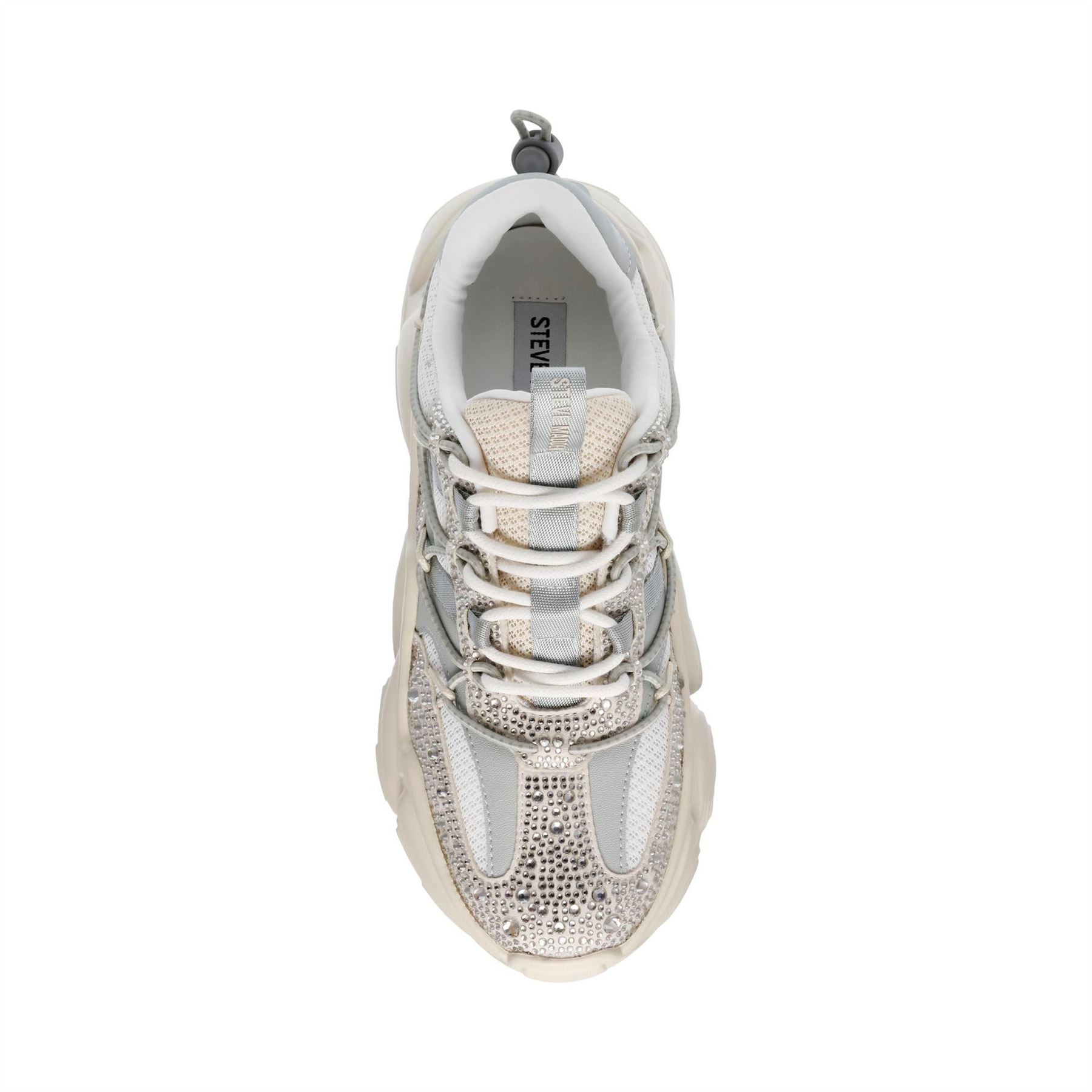 Steve Madden Spectator Low Top Trainers