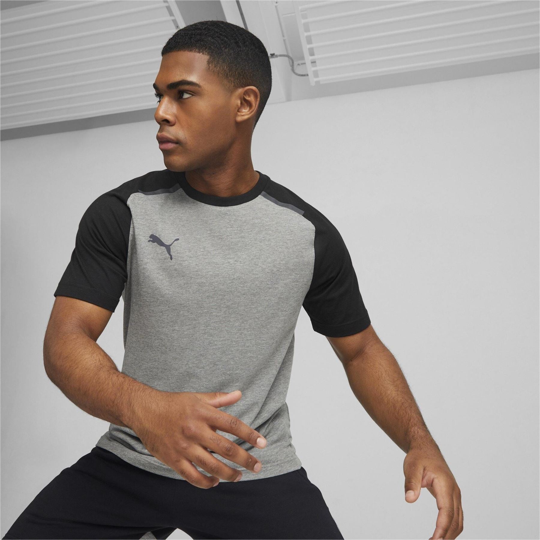 Puma Teamcup Regular Fit Crew Neck T-Shirt
