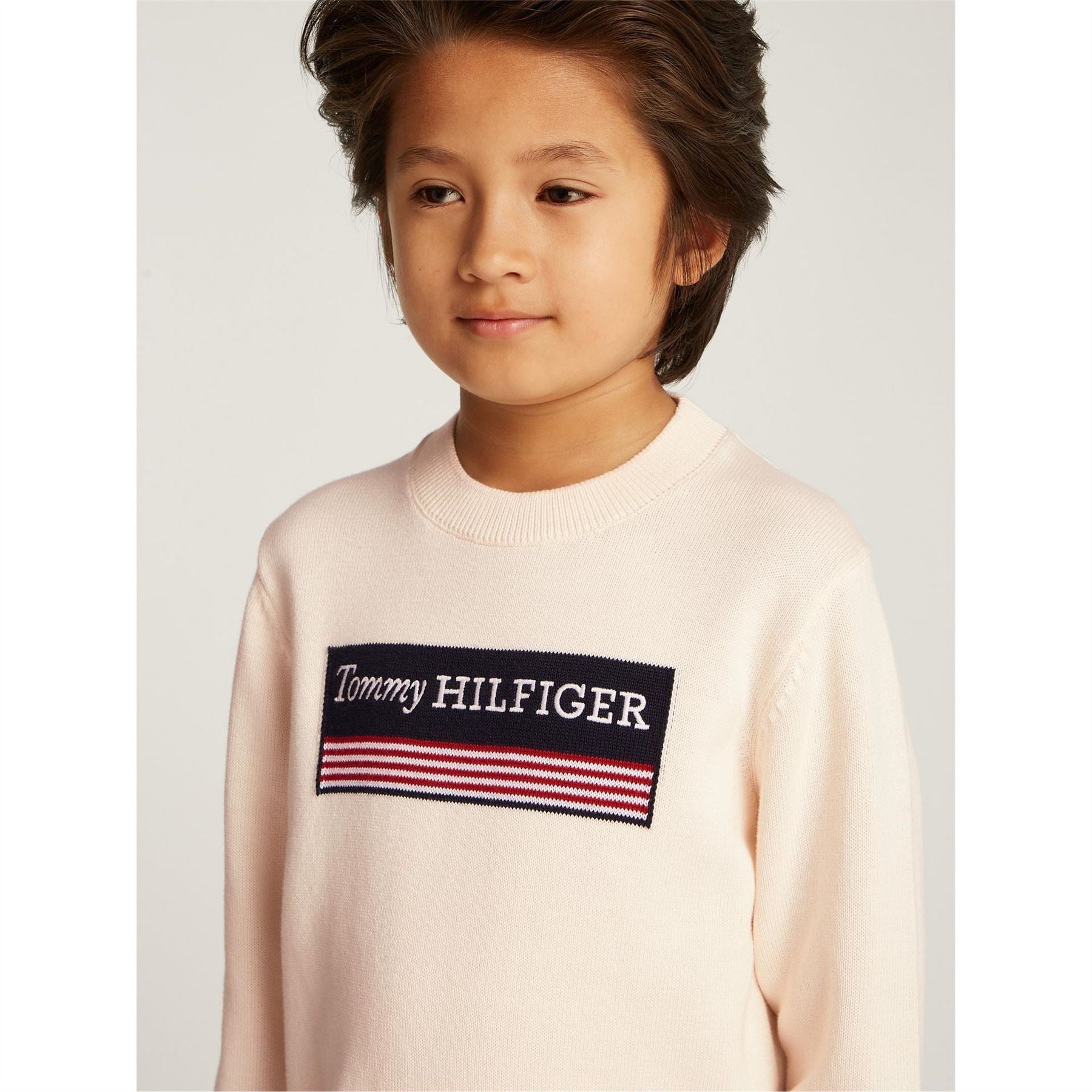 Tommy Hilfiger Regular Fit Crew Neck Long Sleeve Sweater