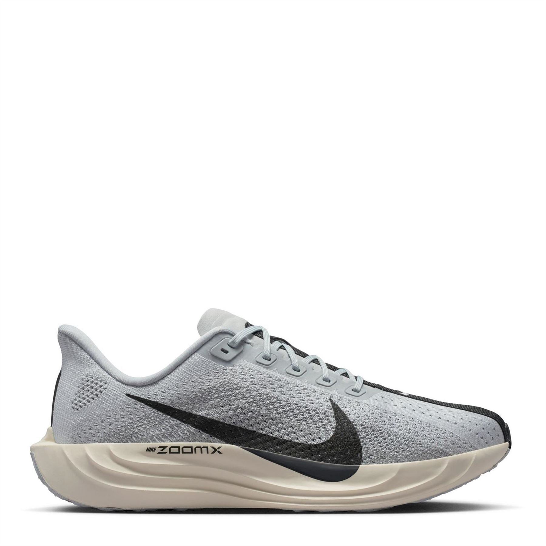 Nike Mens Pegasus Plus Trainers