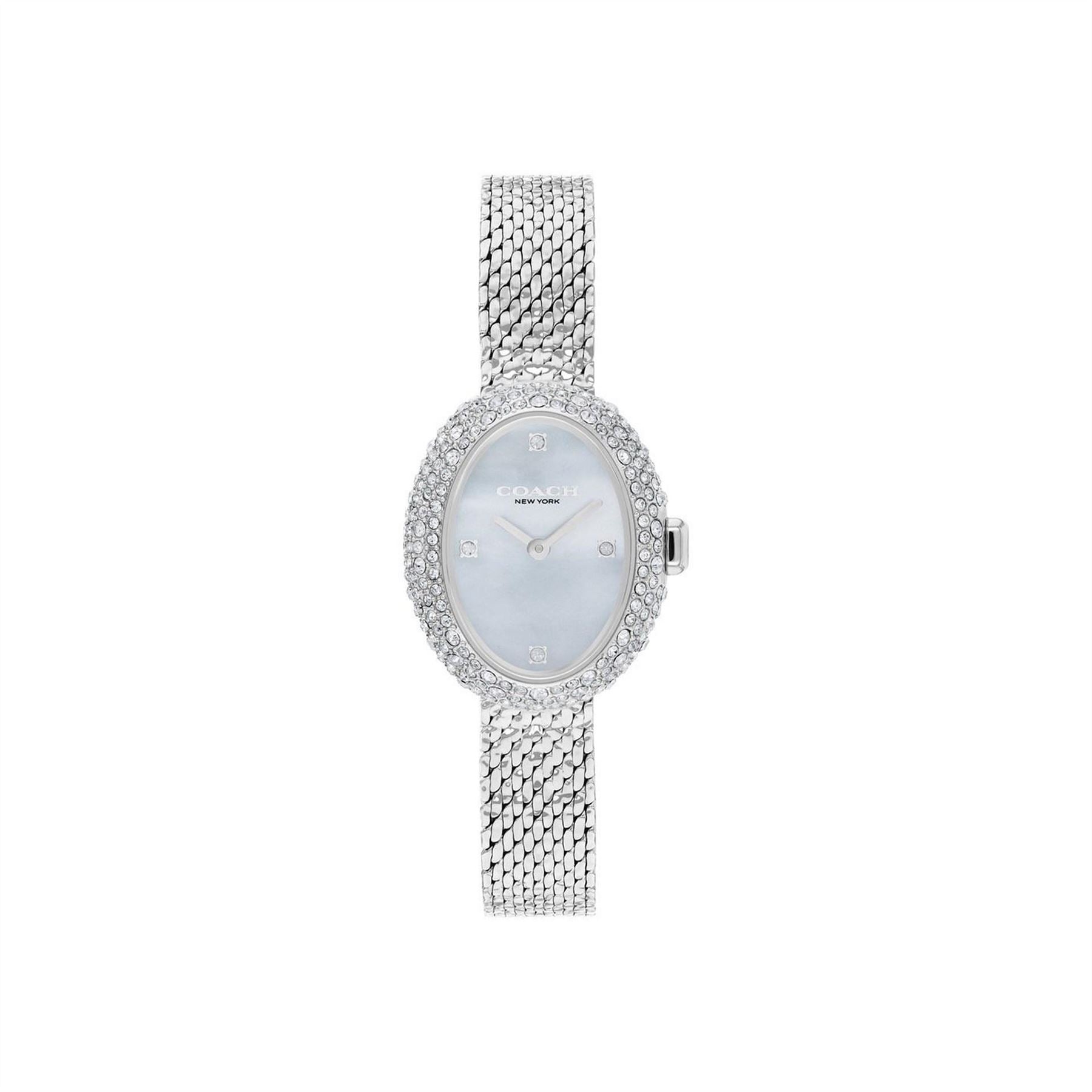 Coach Mesh Watch