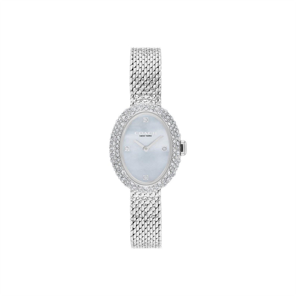 Coach Mesh Watch