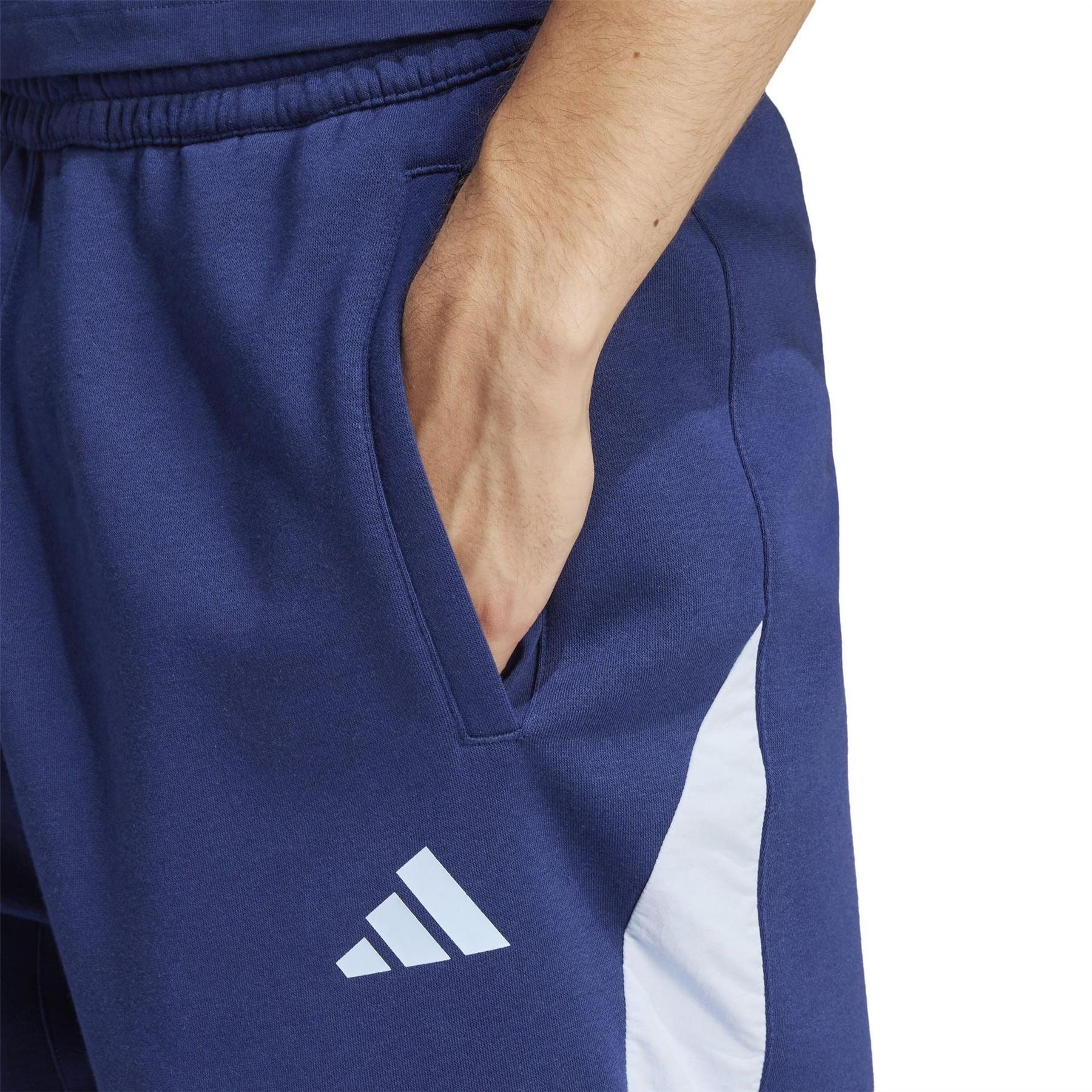 adidas Mens Seasonal Essentials Colorblock Shorts