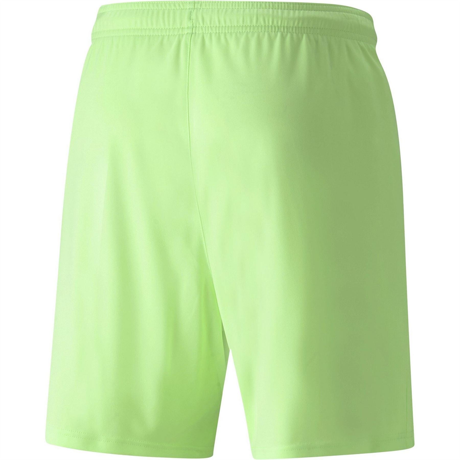 Puma Mens Teamliga Shorts Football Shorts
