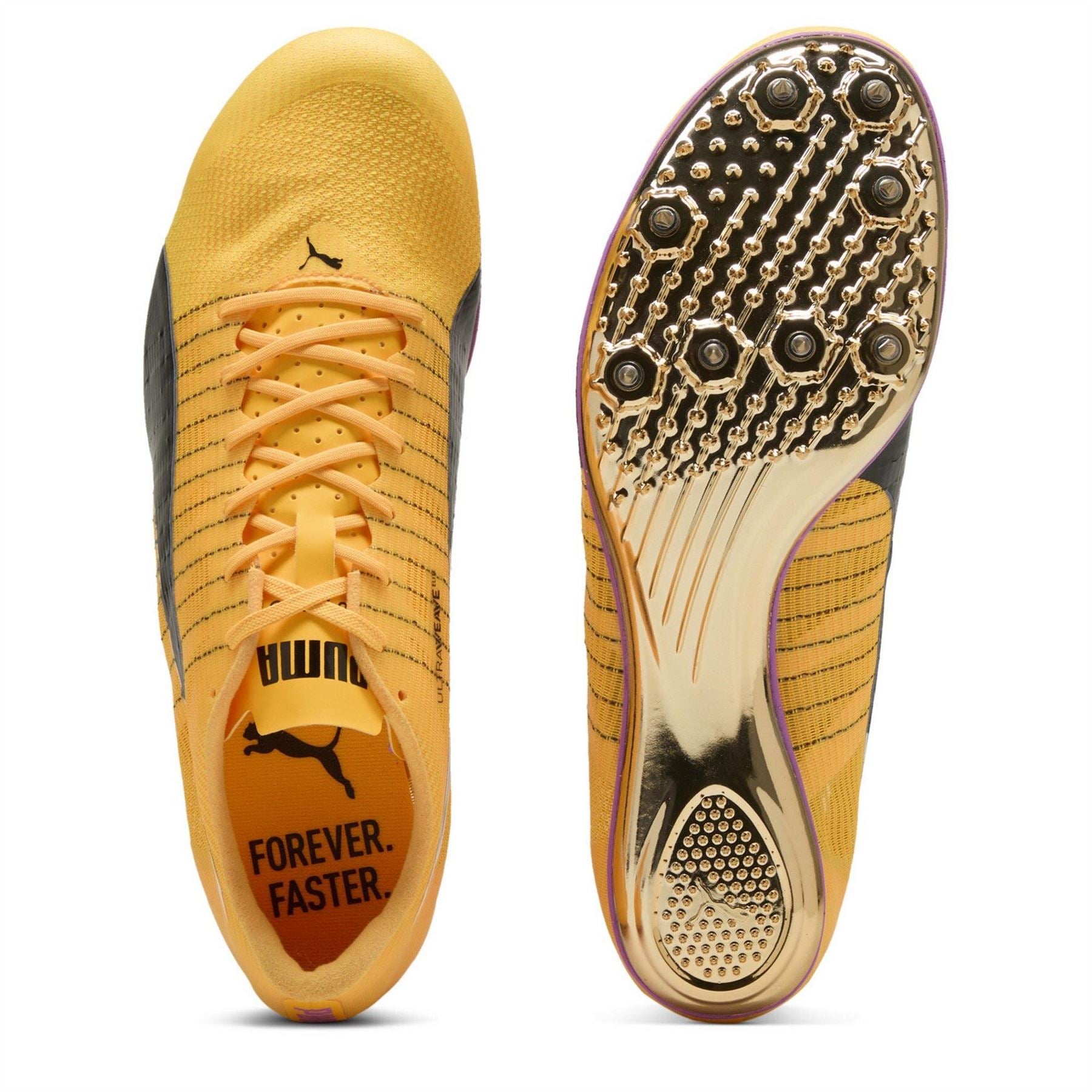 Puma Evospeed Brush 6 Track Running Spikes