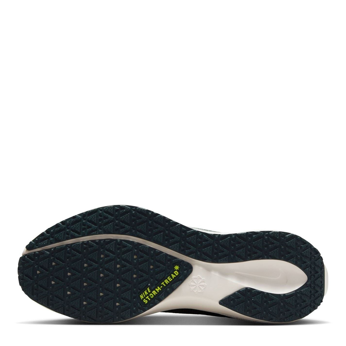 Nike W Air Zm Pegasu