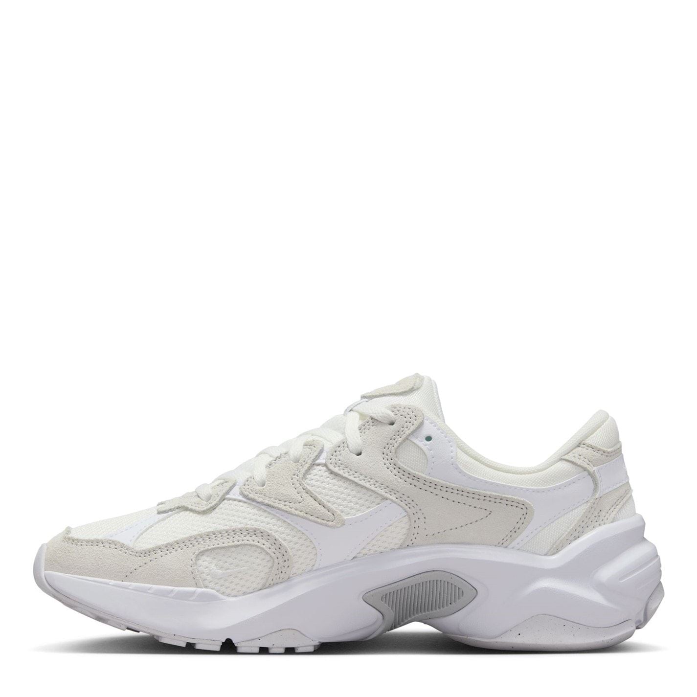 Nike Low Top Running Sneakers