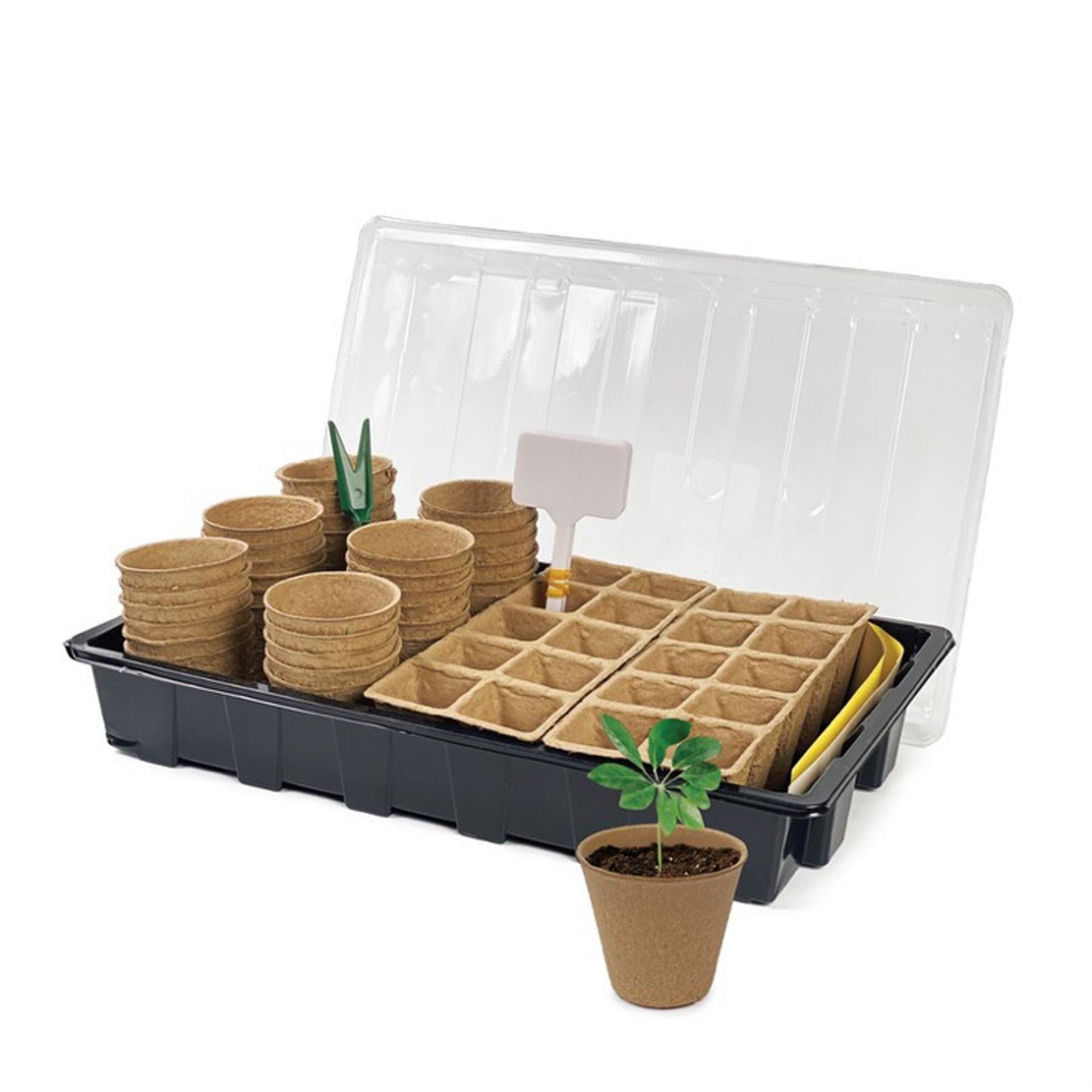 Dekton Piece Seed Starter Kit