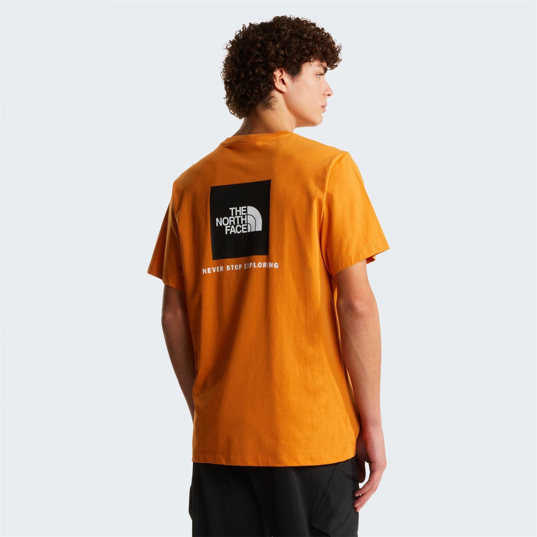 The North Face Mens Never Stop Exploring Regular Fit T-Shirt