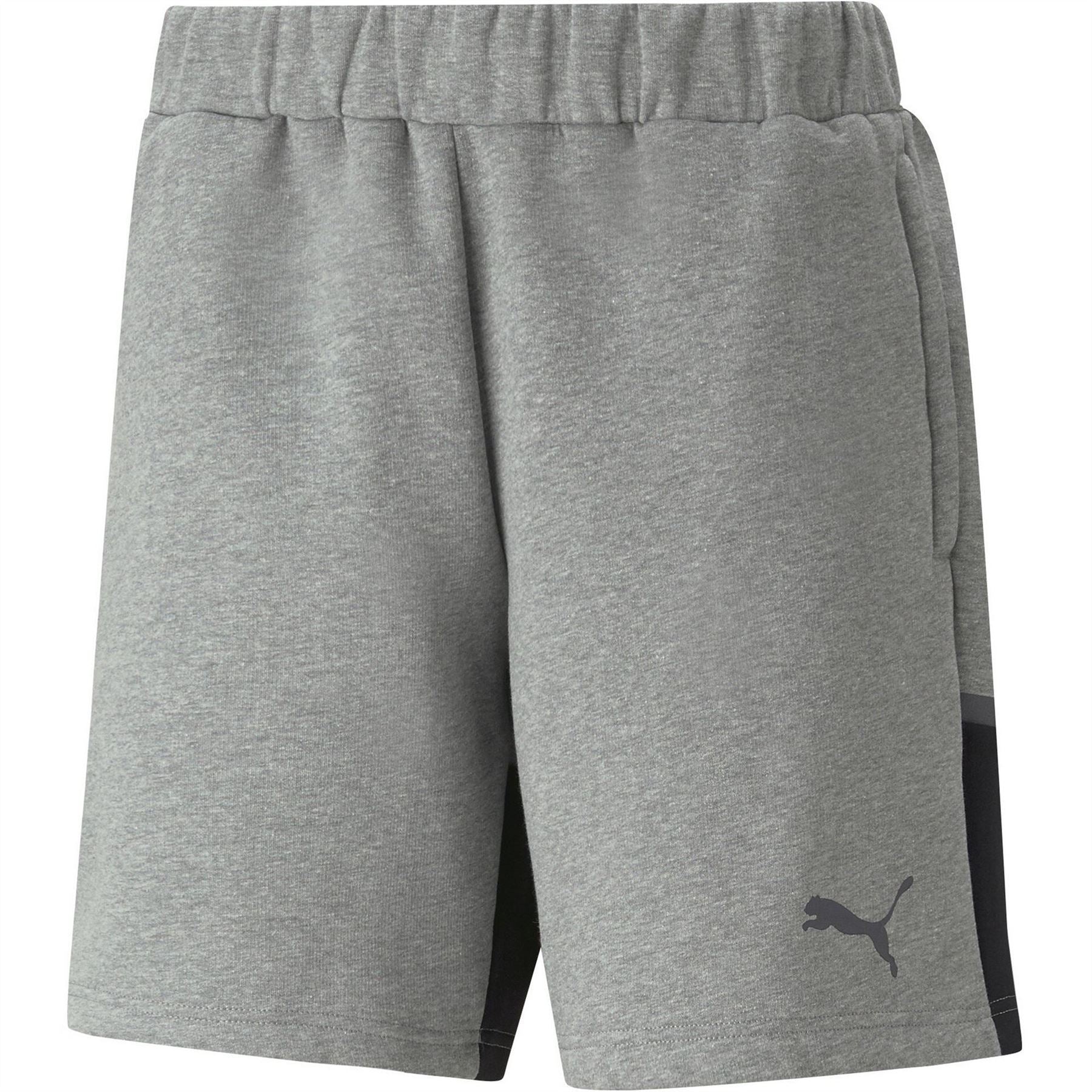 Puma Mens Teamcup Casuals Shorts Football Shorts