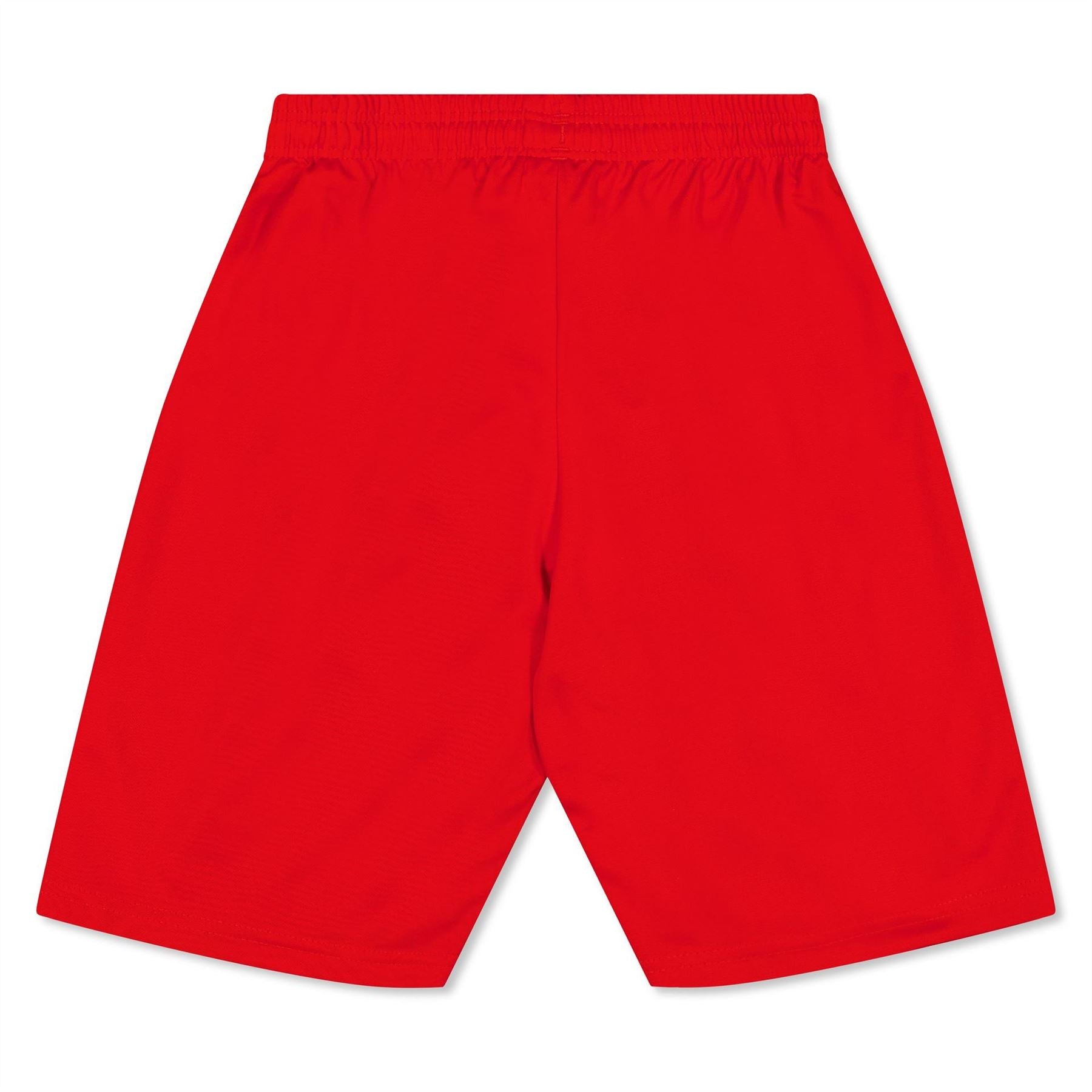 Puma Fb Team Shorts With Brief Juniors