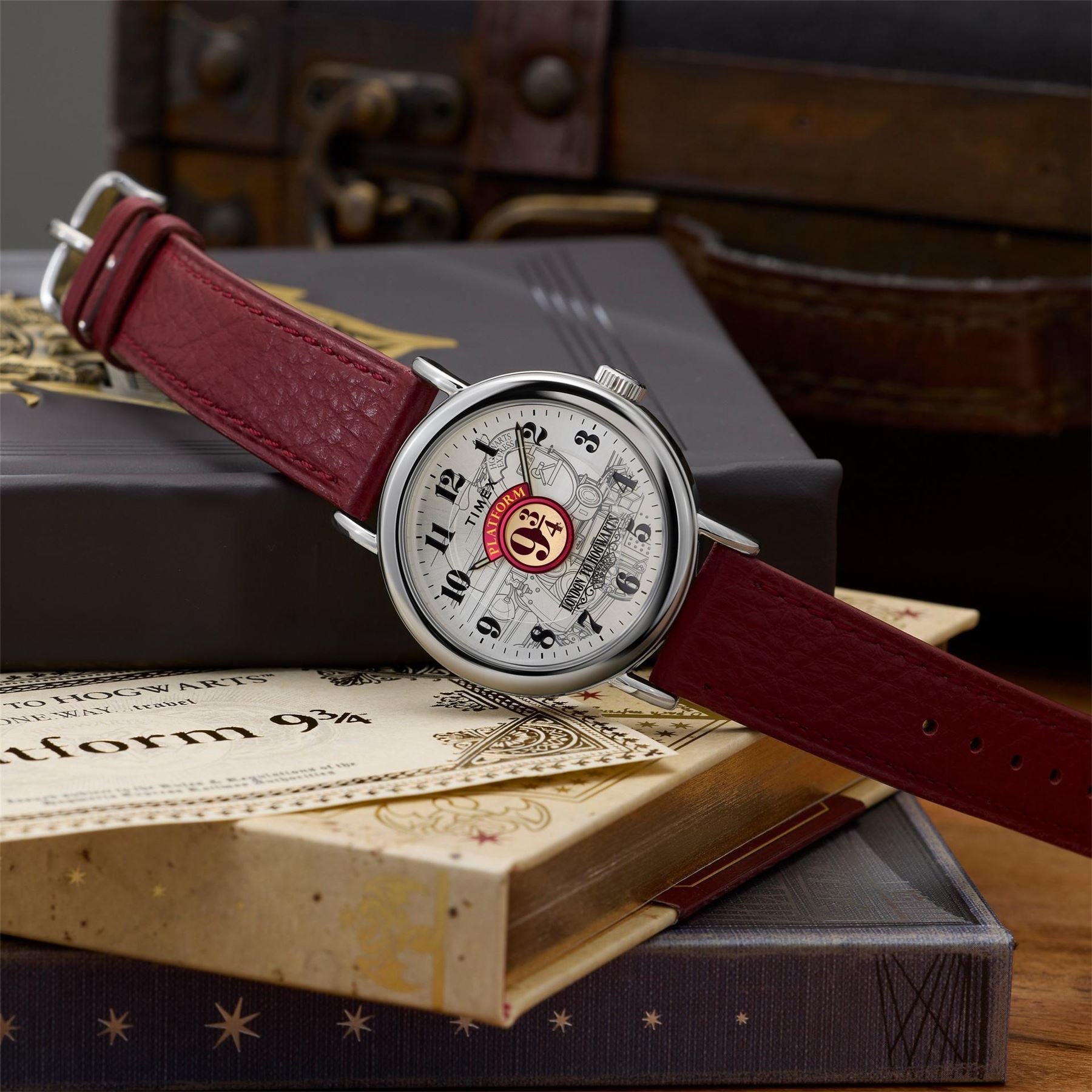 Timex Potter Quartz Analogue Watch