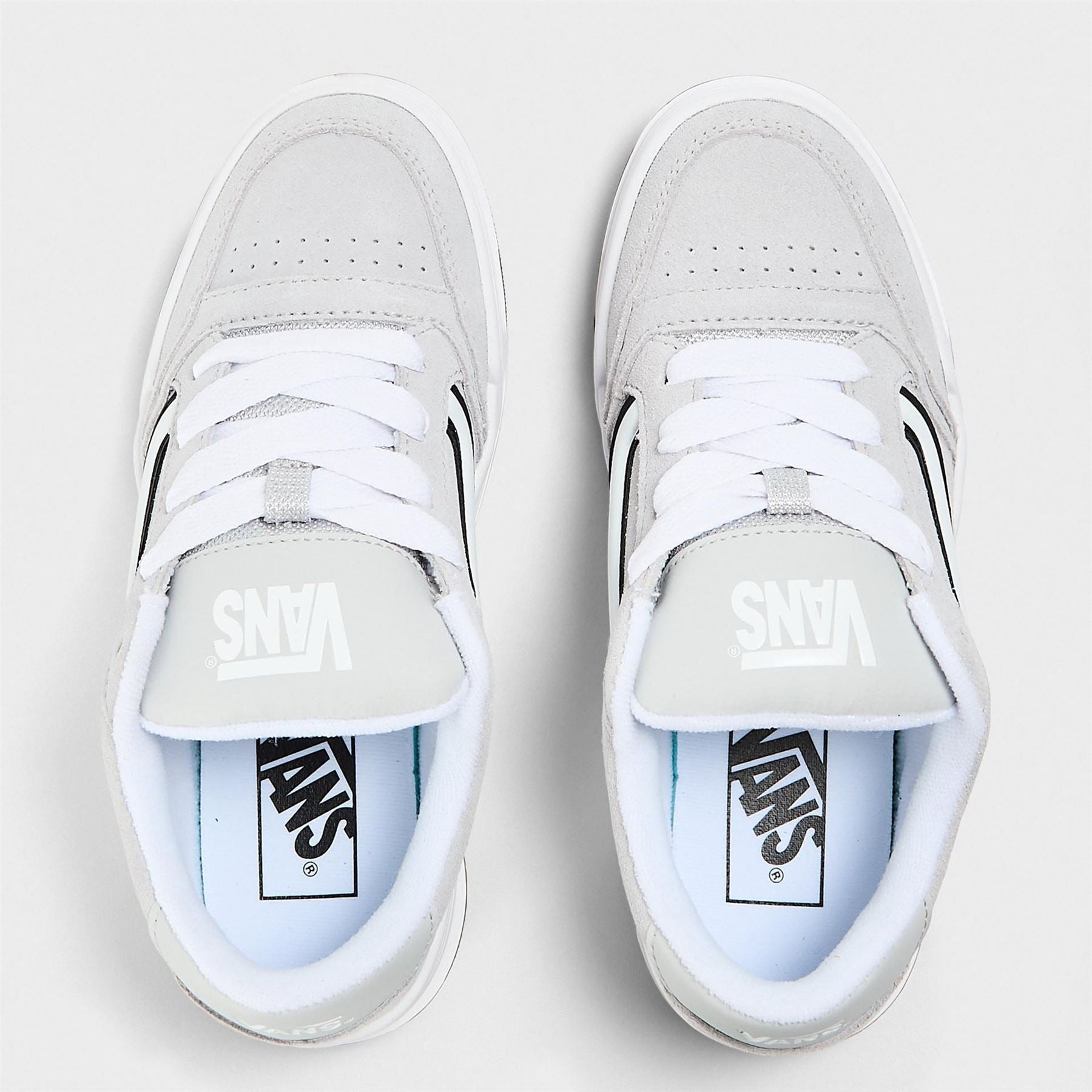 Vans Adults Hylane Retro Skate Lunar Rock Canvasas Trainers