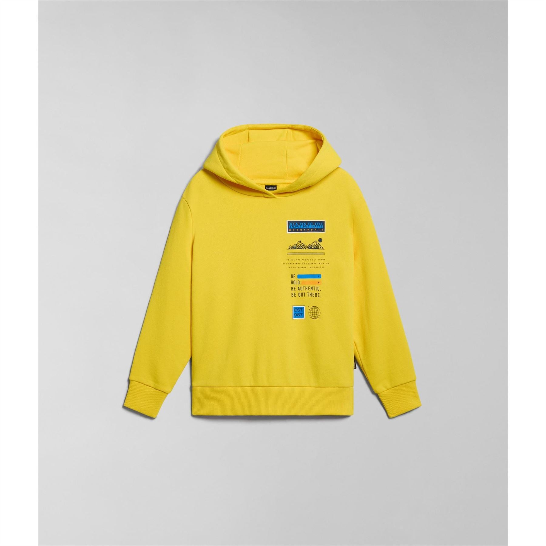 Napapijri Hooded Text Graphic Long Sleeve Sweatshirt