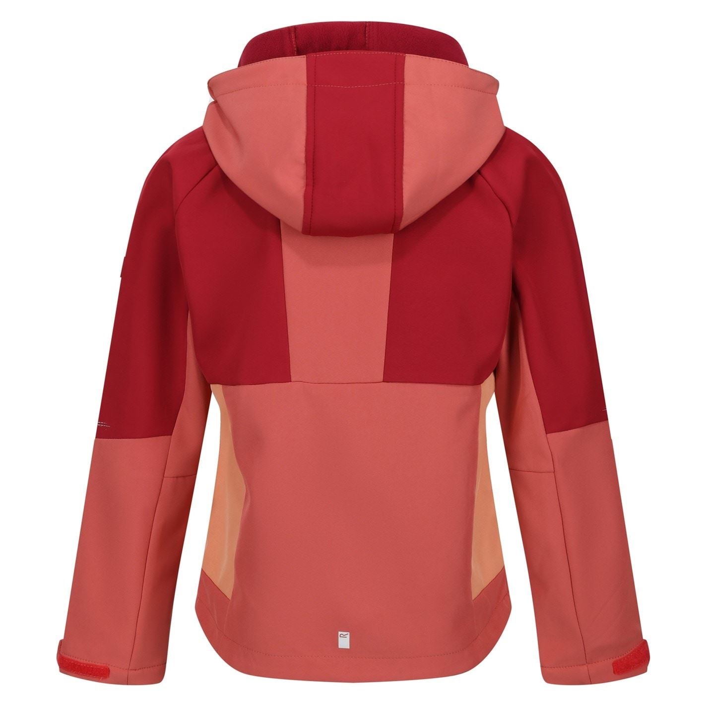 Regatta Haydenbury Hooded Softshell Color Block Jacket
