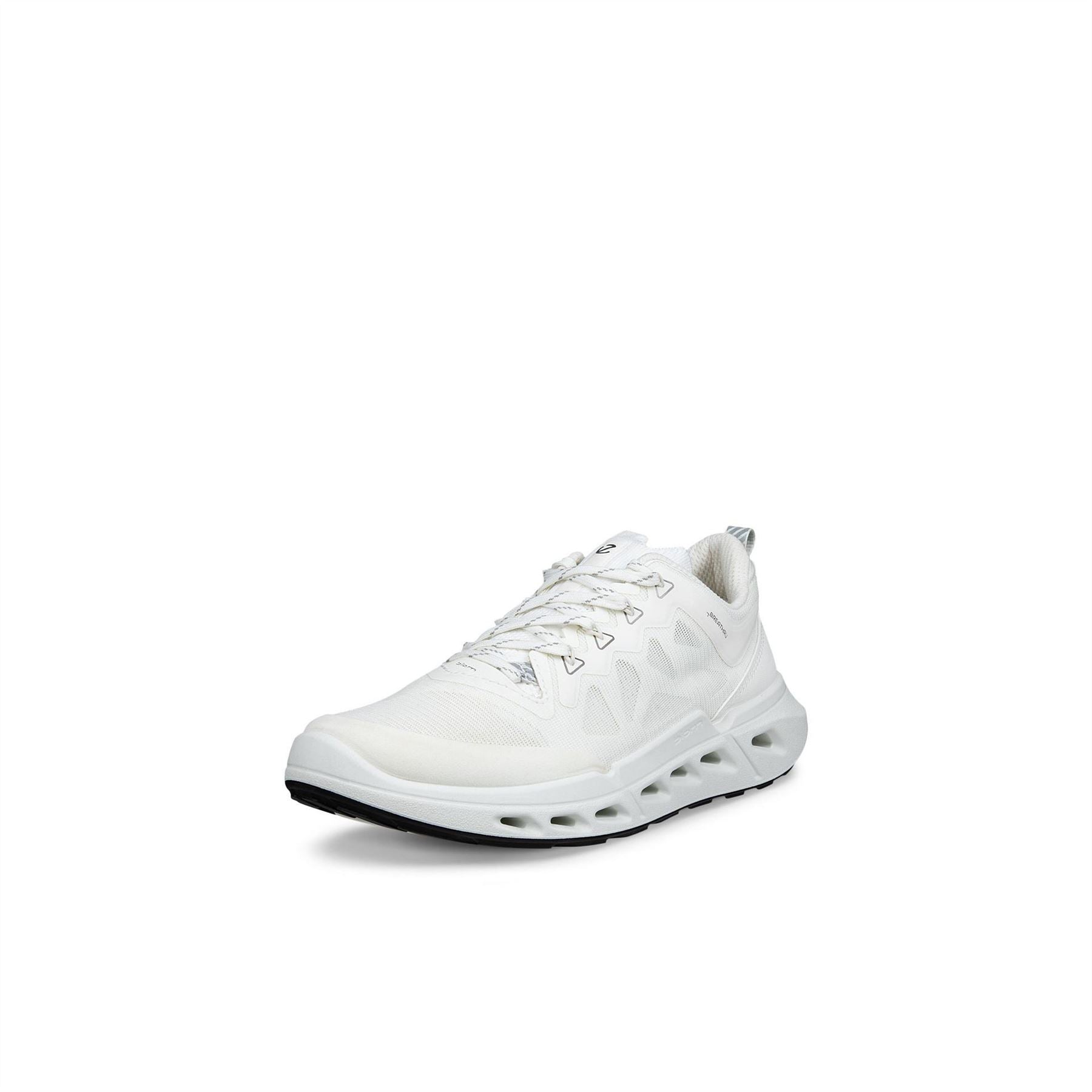 Ecco Biom 720 Ld62