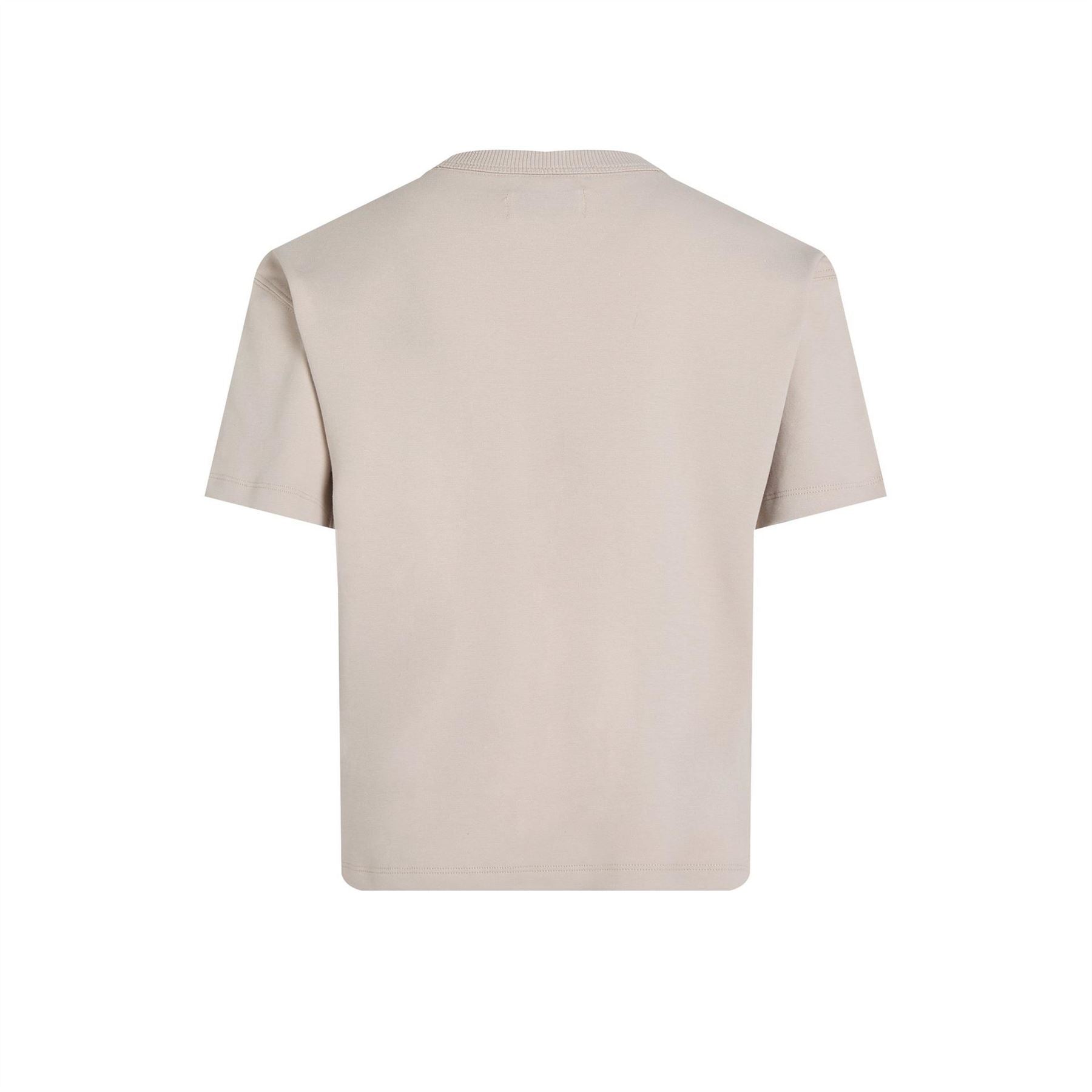 Calvin Klein Jeans Outlined Fleece Mono Regular Fit T-Shirt