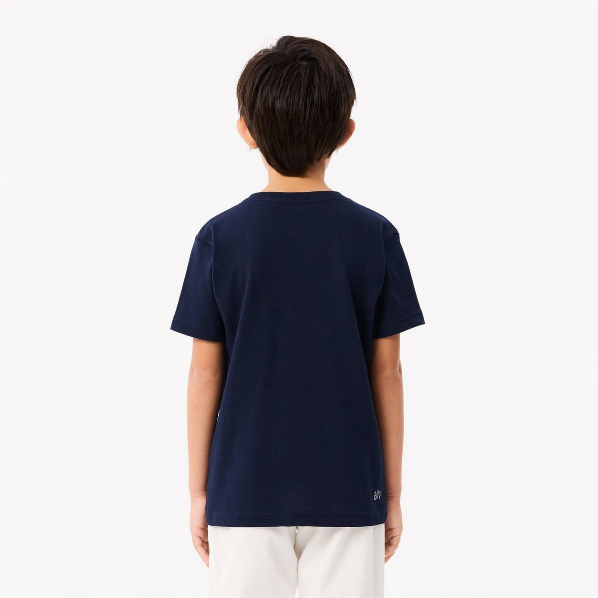 Lacoste Large Logo Cotton Short Sleeve T-Shirt