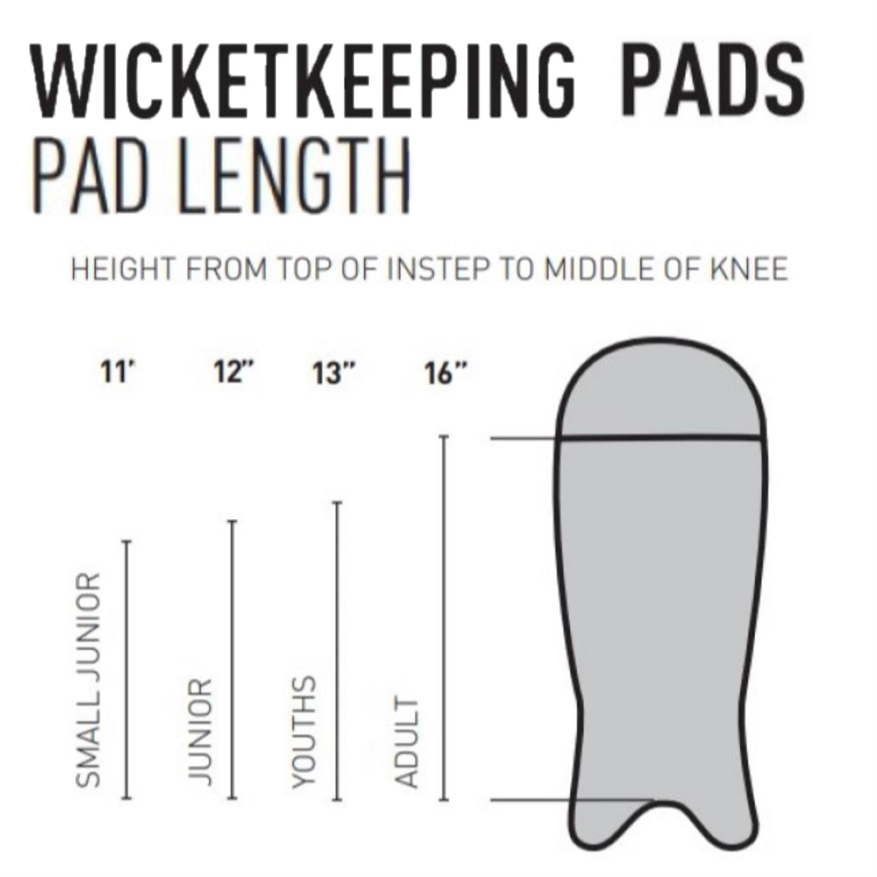 Gunn And Moore And  Moore Aion 300 Wk Pads Youths