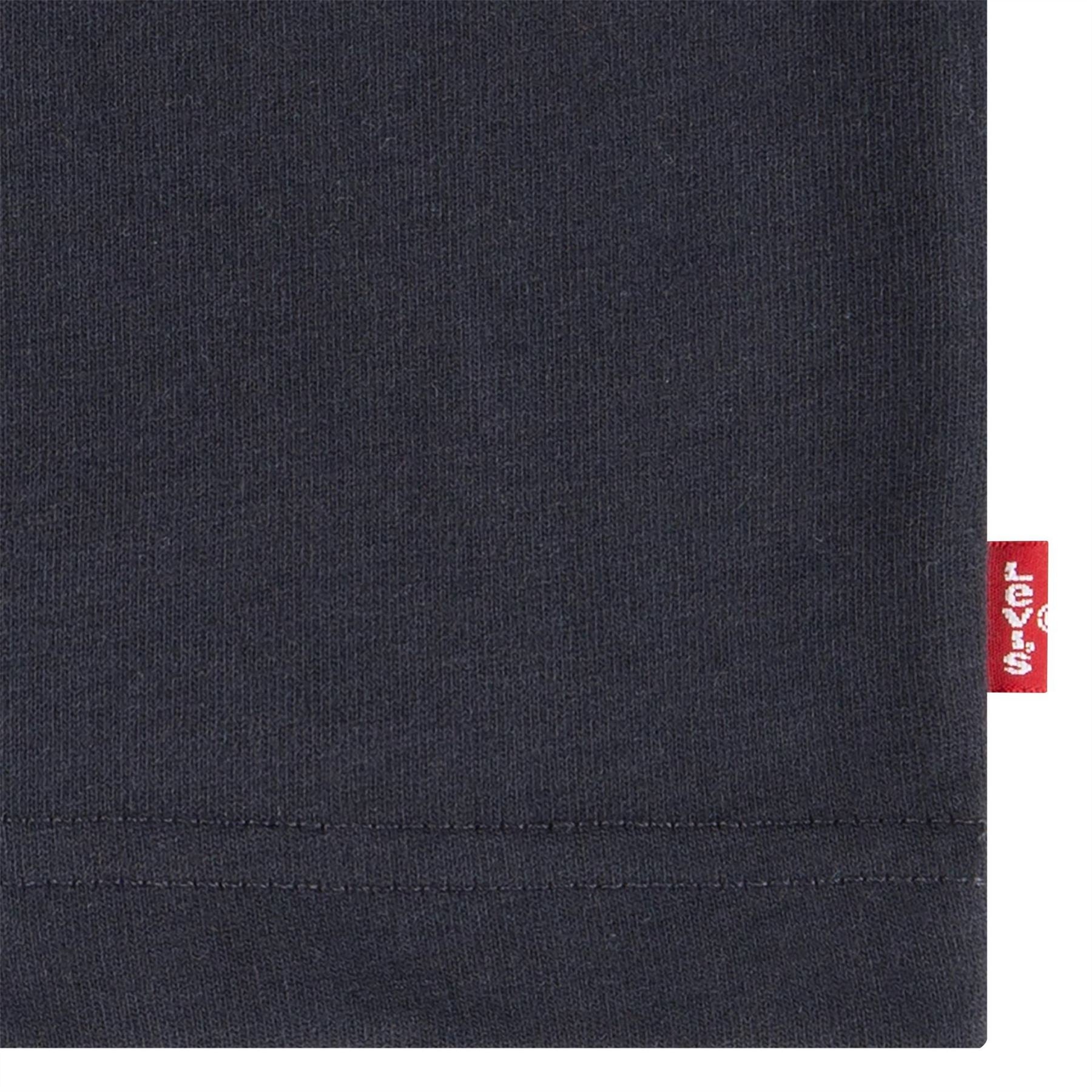 Levis Junior Regular Fit Crew Neck T-Shirt