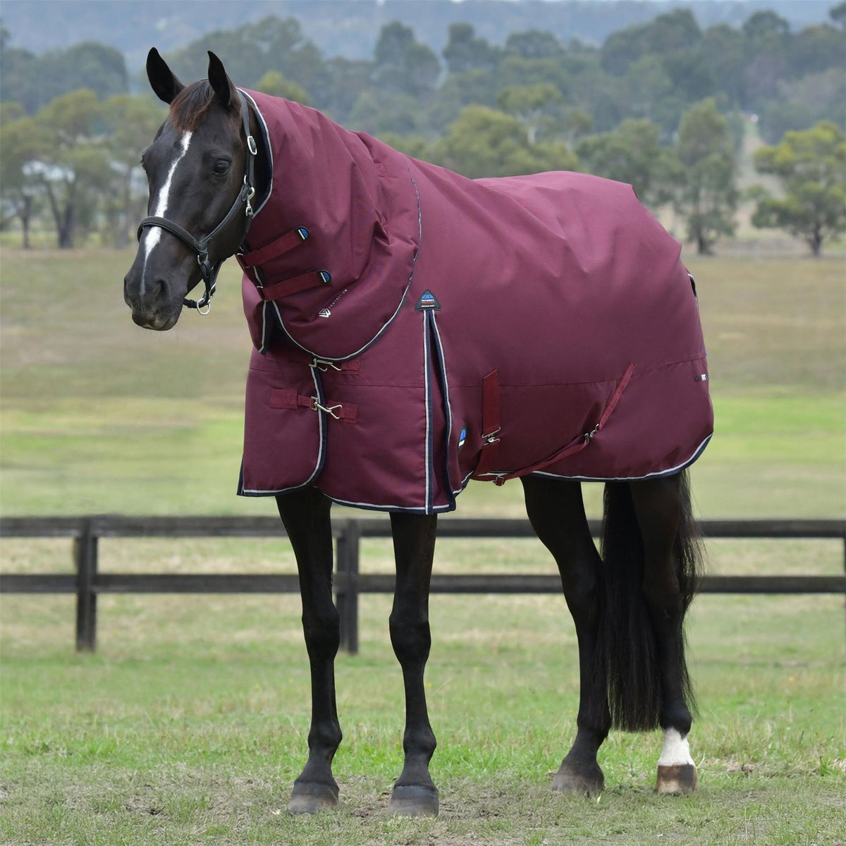Weatherbeeta Comfitec Essential Detach A Neck 220g Burgundy Navy