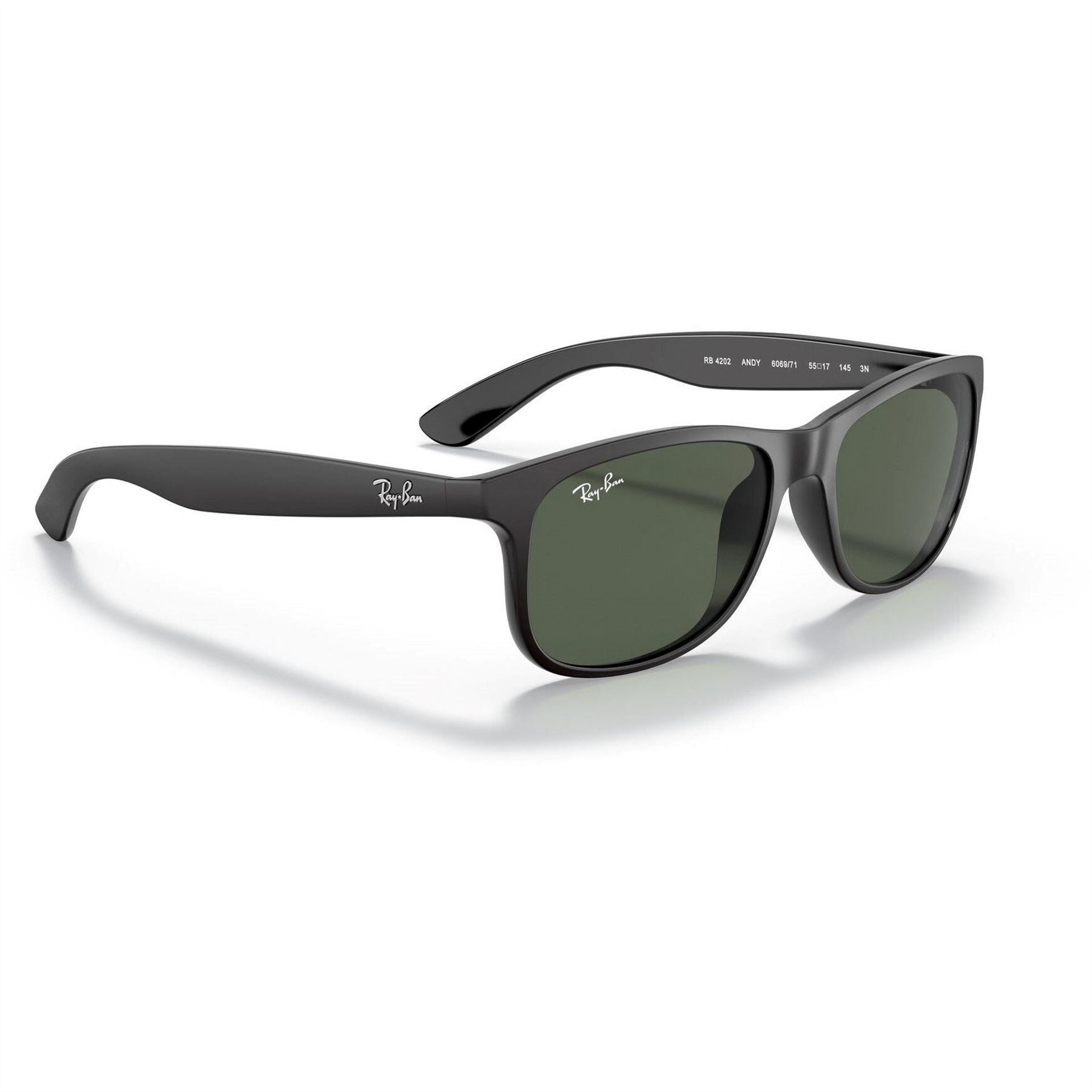 Ray-Ban Ban Matte Black 0rb4202 Square Sunglasses