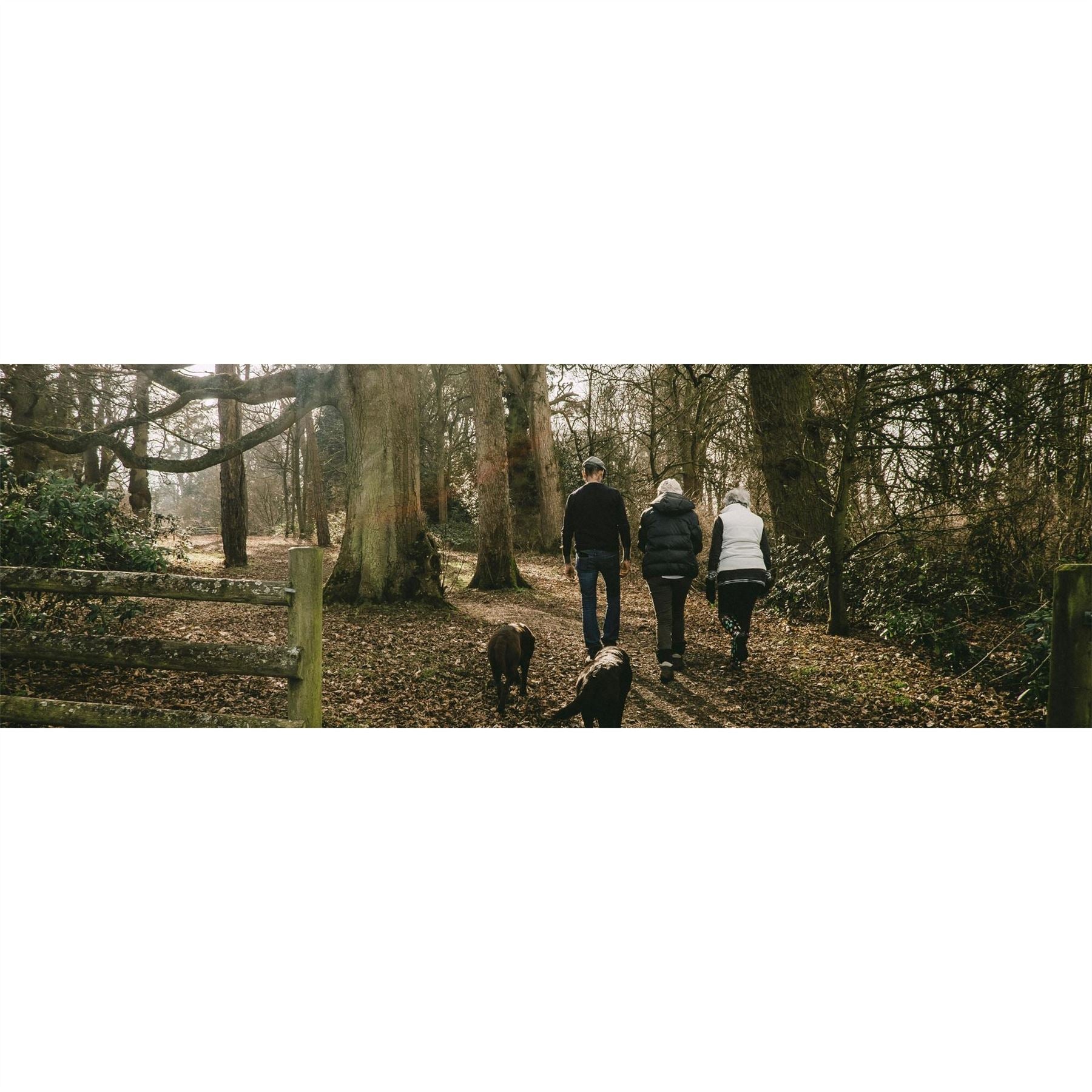 Barbour Hale bt
