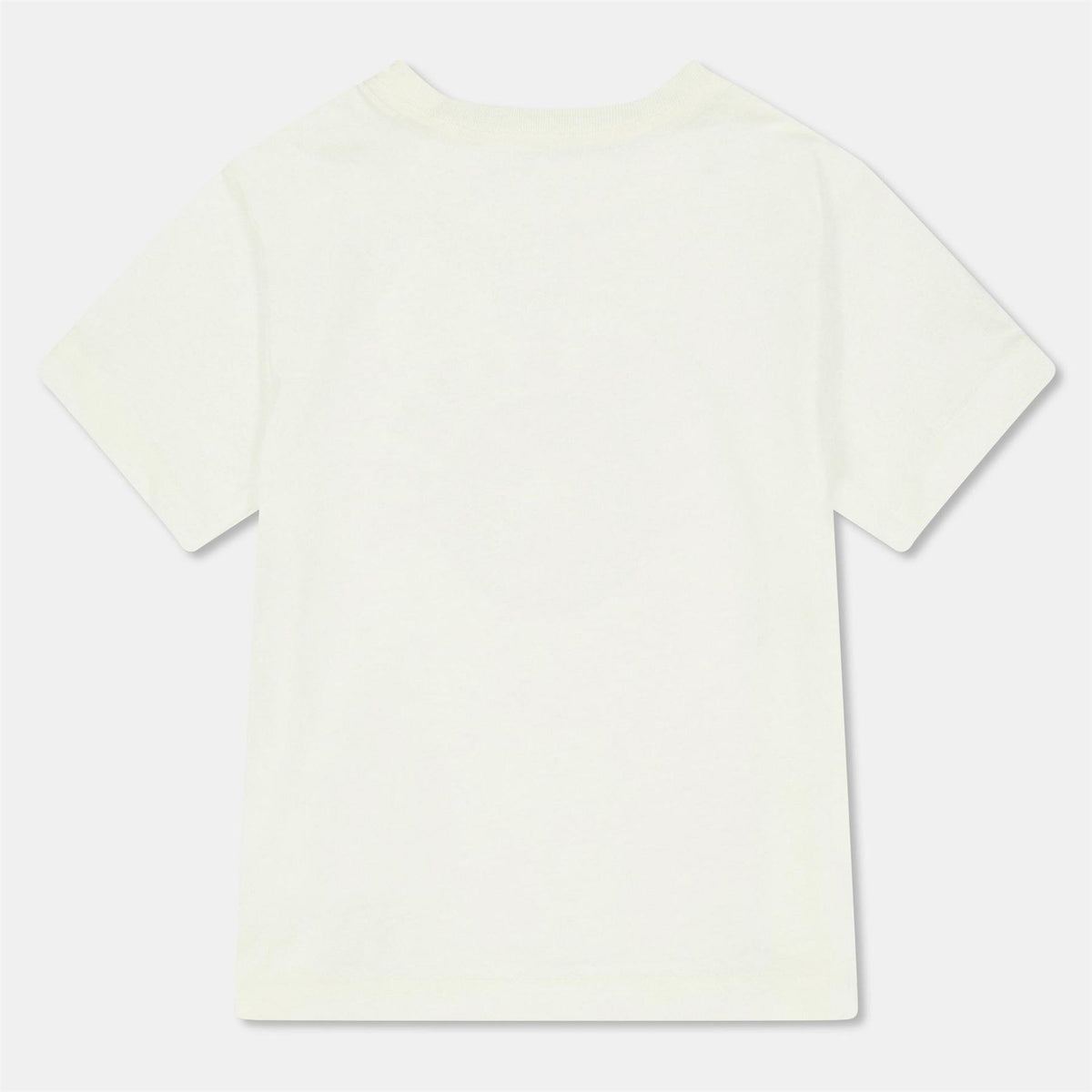 Polo Ralph Lauren Regular Fit Lettering Crew Neck T-Shirt