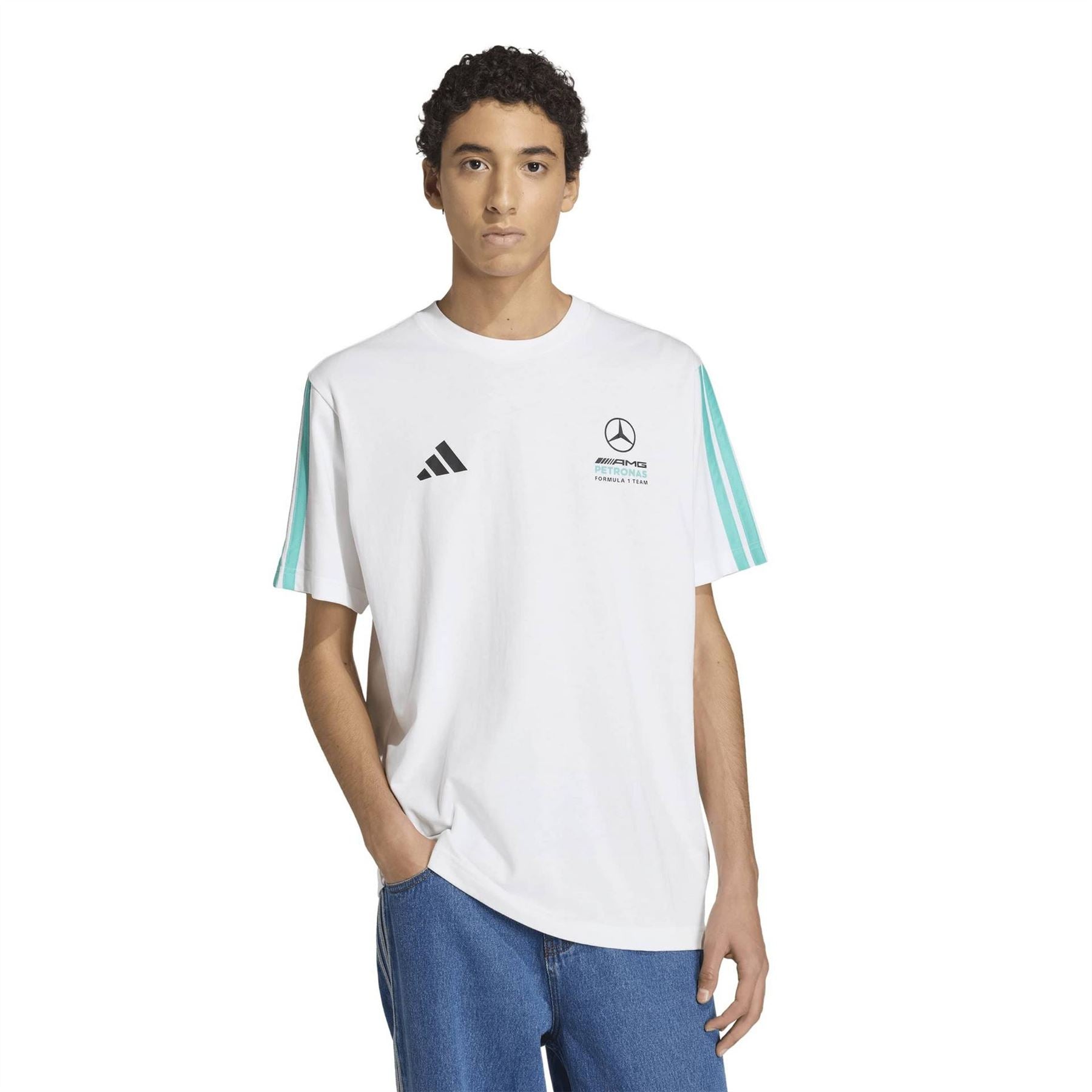 adidas Merecedes Amg Petronas F1 Team Dna T-Shirt