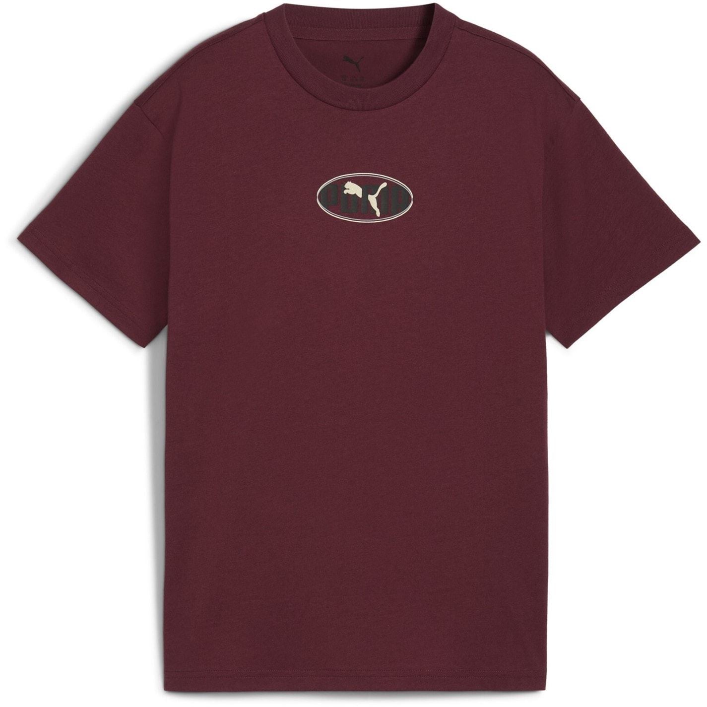 Puma Essentials Graphic Regular Fit T Shirt