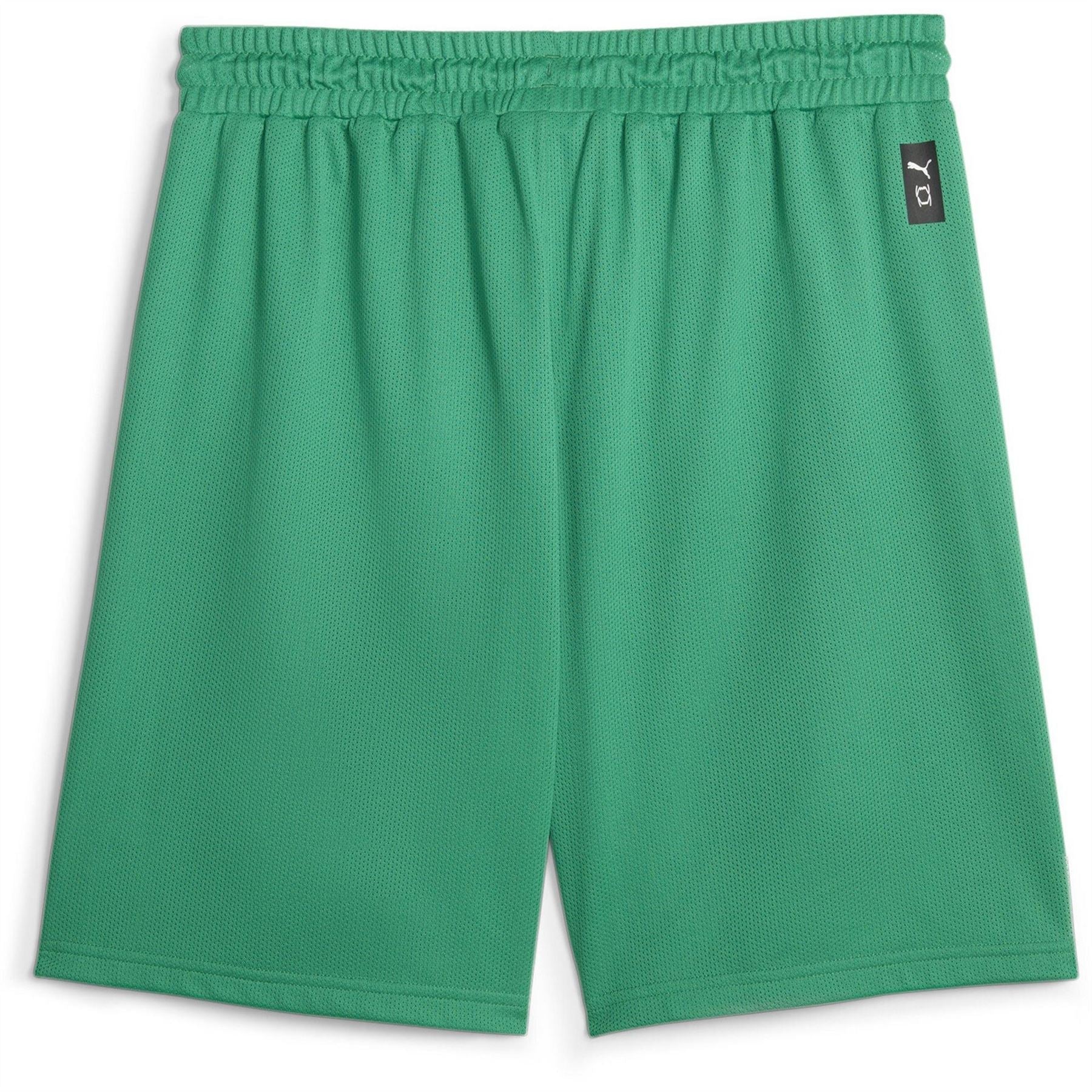 Puma Hoops Team Practice Basketball Shorts