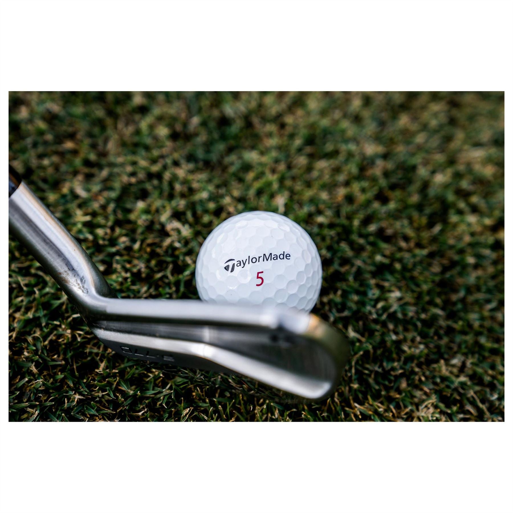 TaylorMade Glb Dz 10