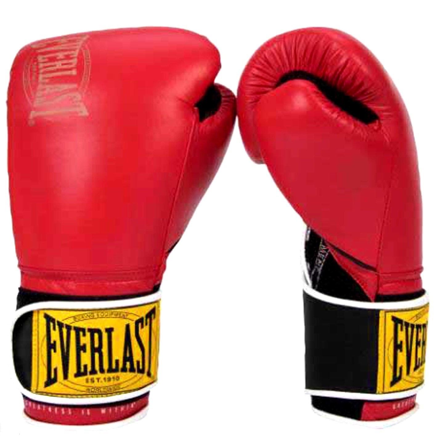 Everlast 1910 Classic Training Glove – Lovell Sports