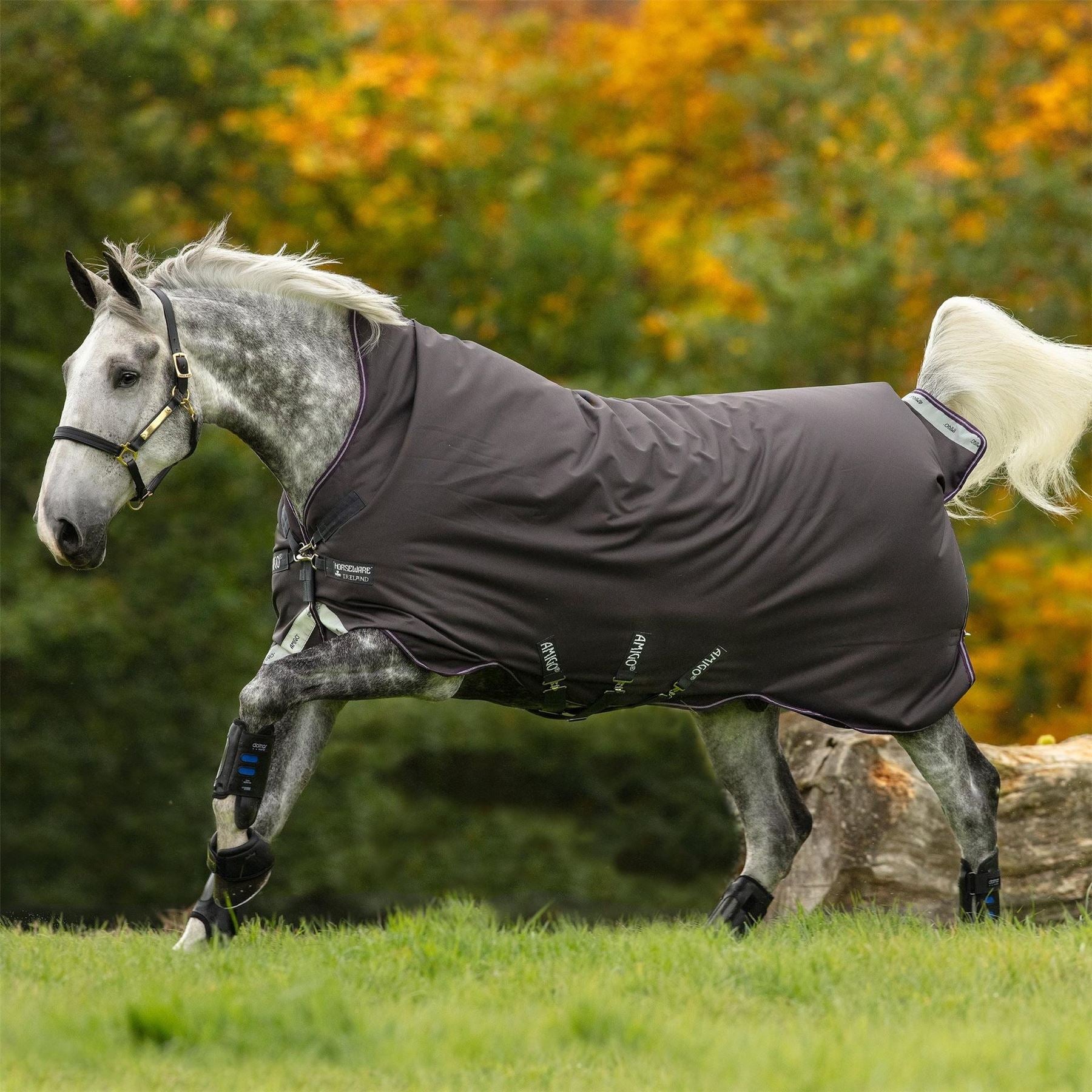 Amigo Adults Turnout Rug