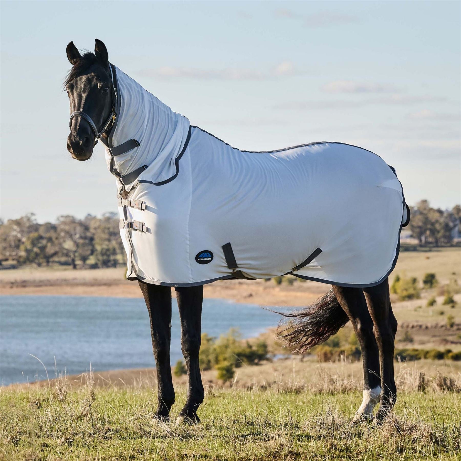 Weatherbeeta Comfitec Tyro Fly Sheet Combo