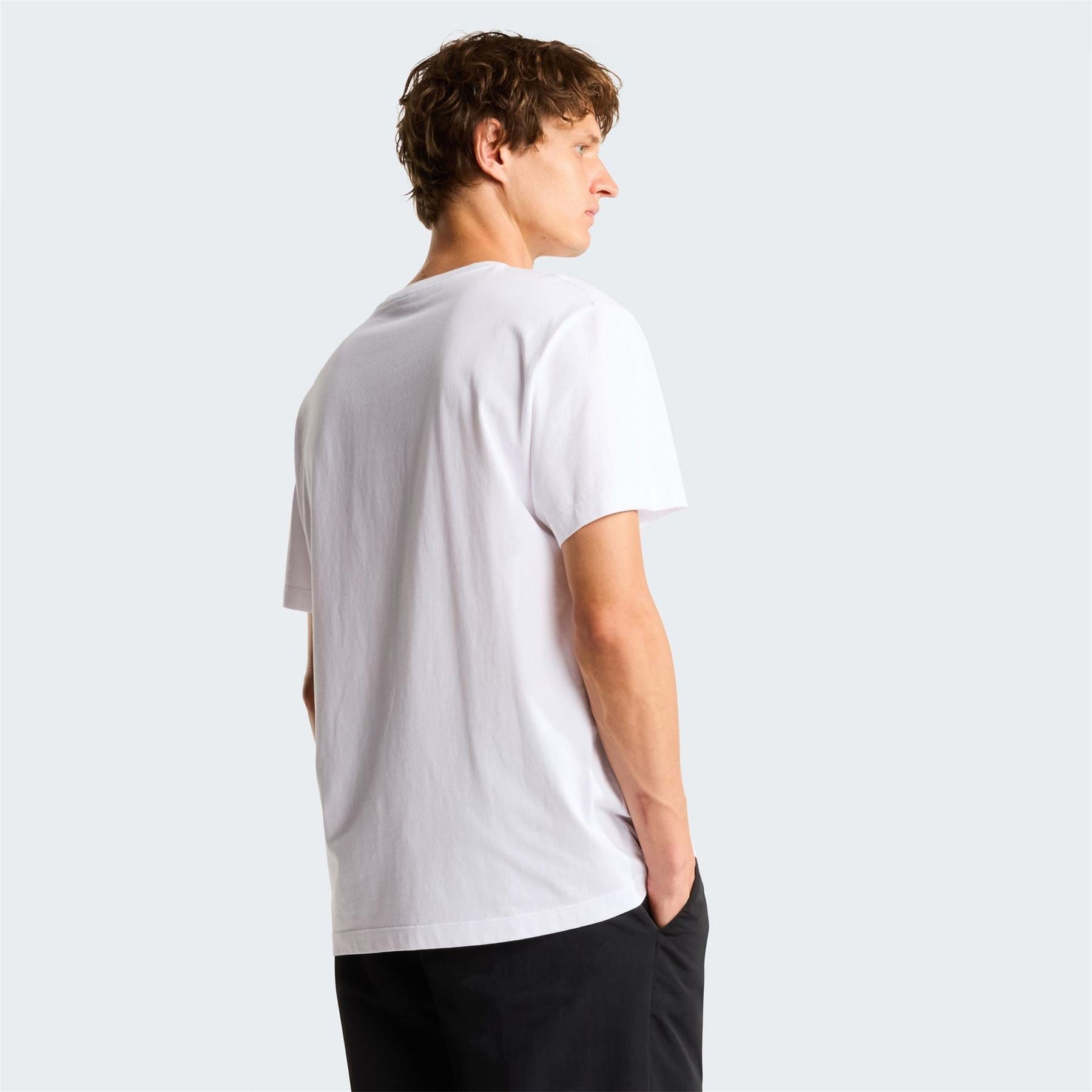 The North Face Mens Ess Central Logo Tee