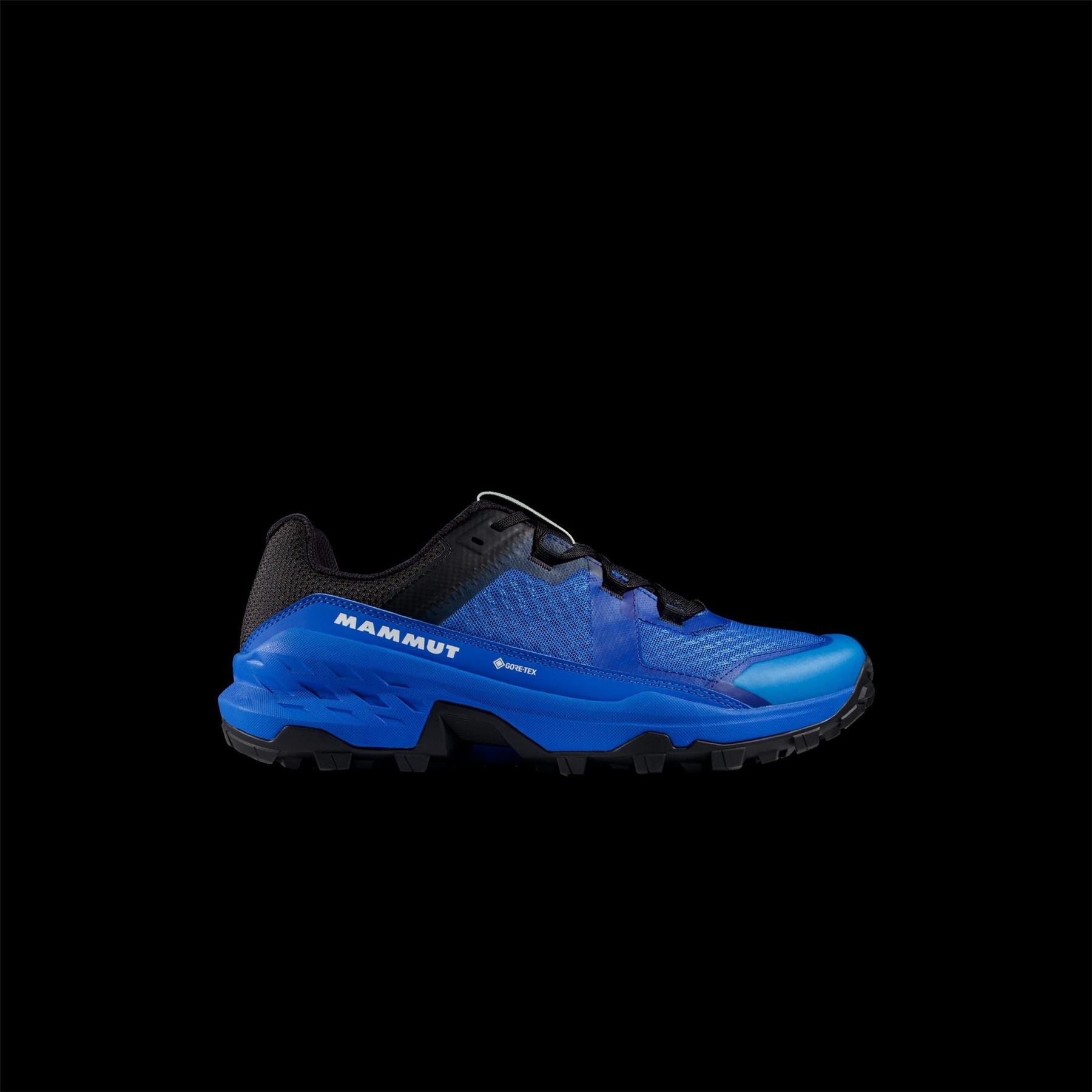 Mammut Waterproof Trekking Shoes