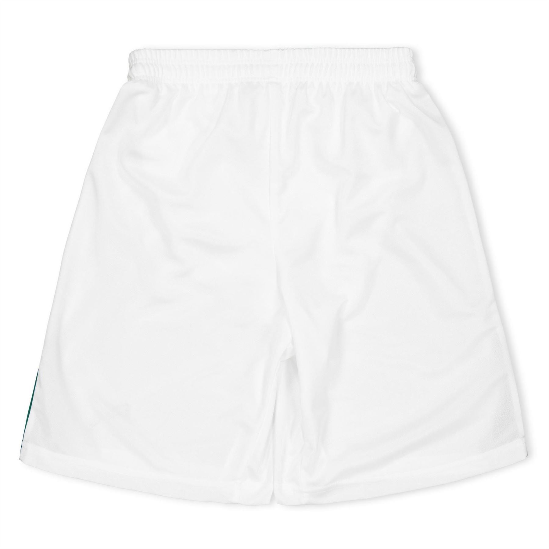 Puma Fb Team Shorts With Brief Juniors