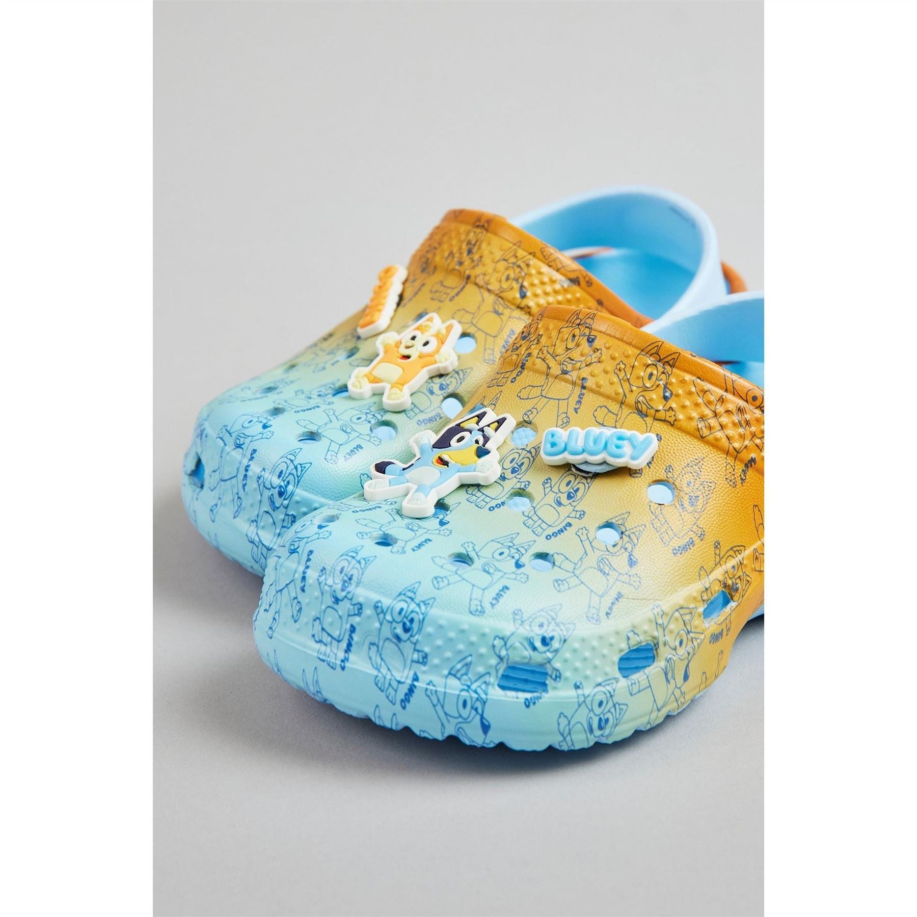 Bluey Clogs Childrens