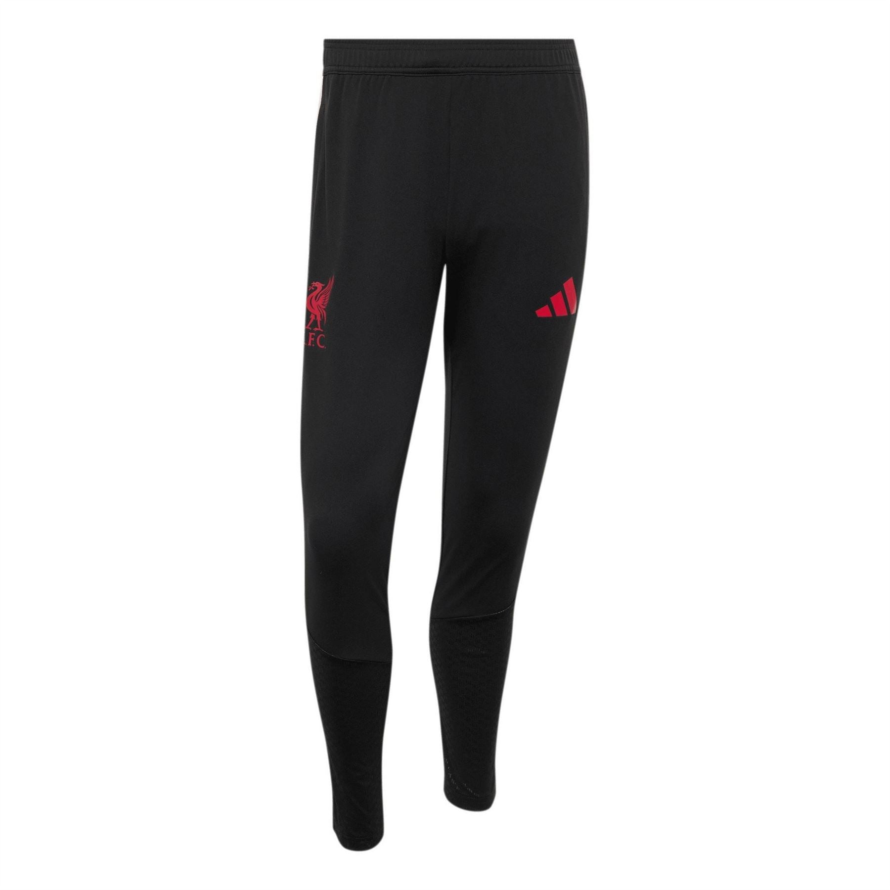 adidas Mens Training Pant 2026 27