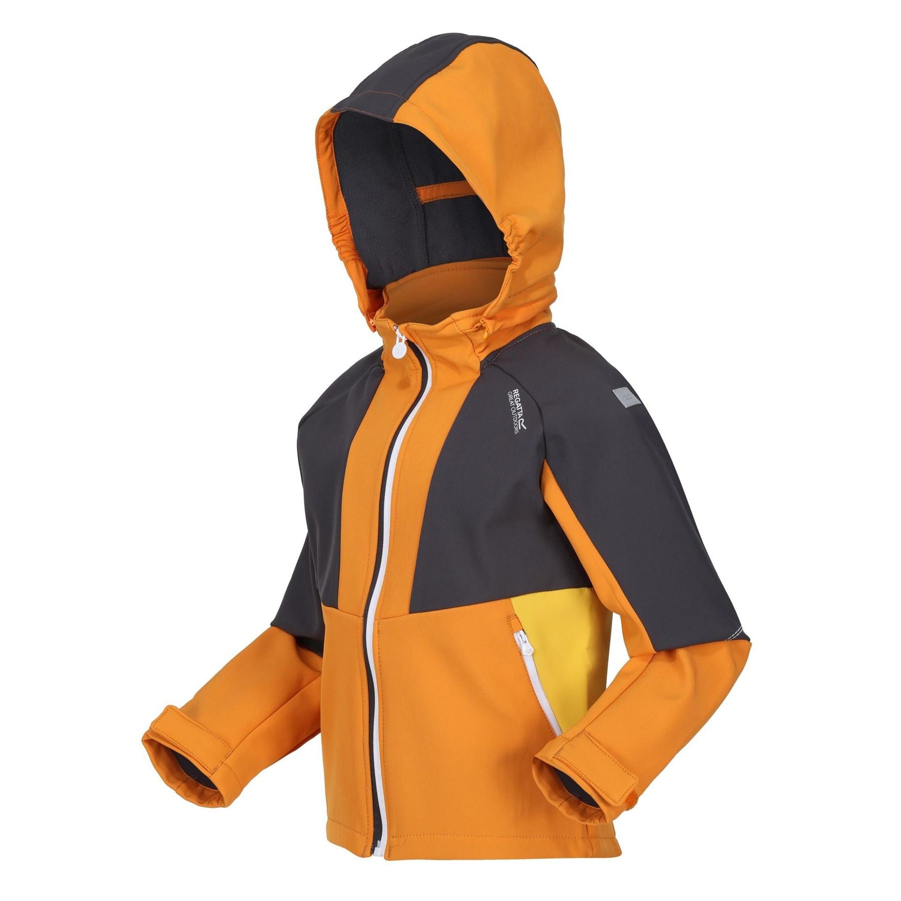 Regatta Kids Haydenbury Softshell Jacket