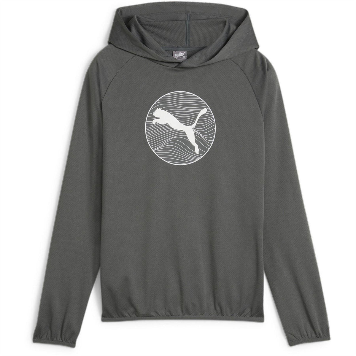 Puma Hooded Long Sleeve Regular Fit Sweatshirt