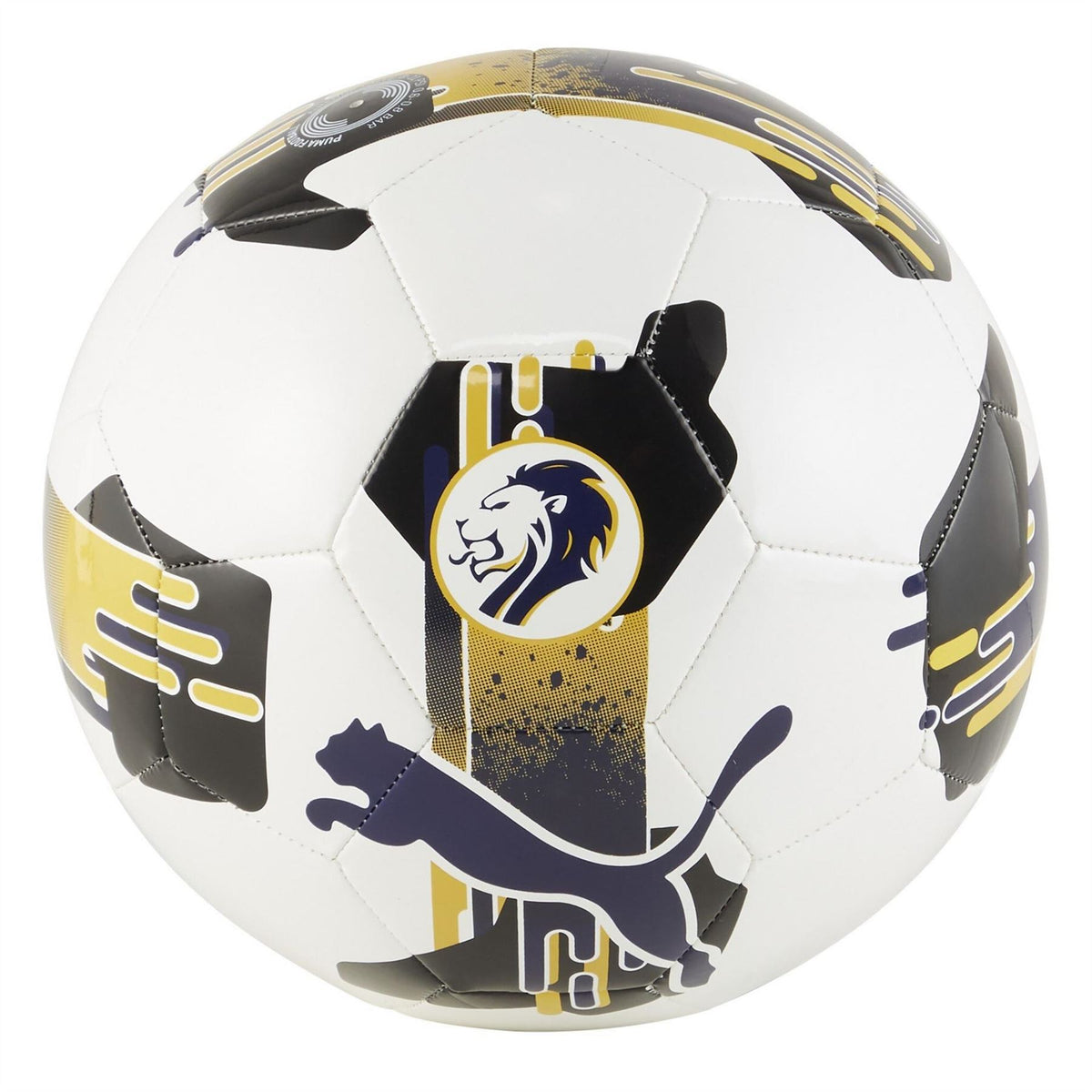 Puma Orbita 6 Spfl Football 2024 2025