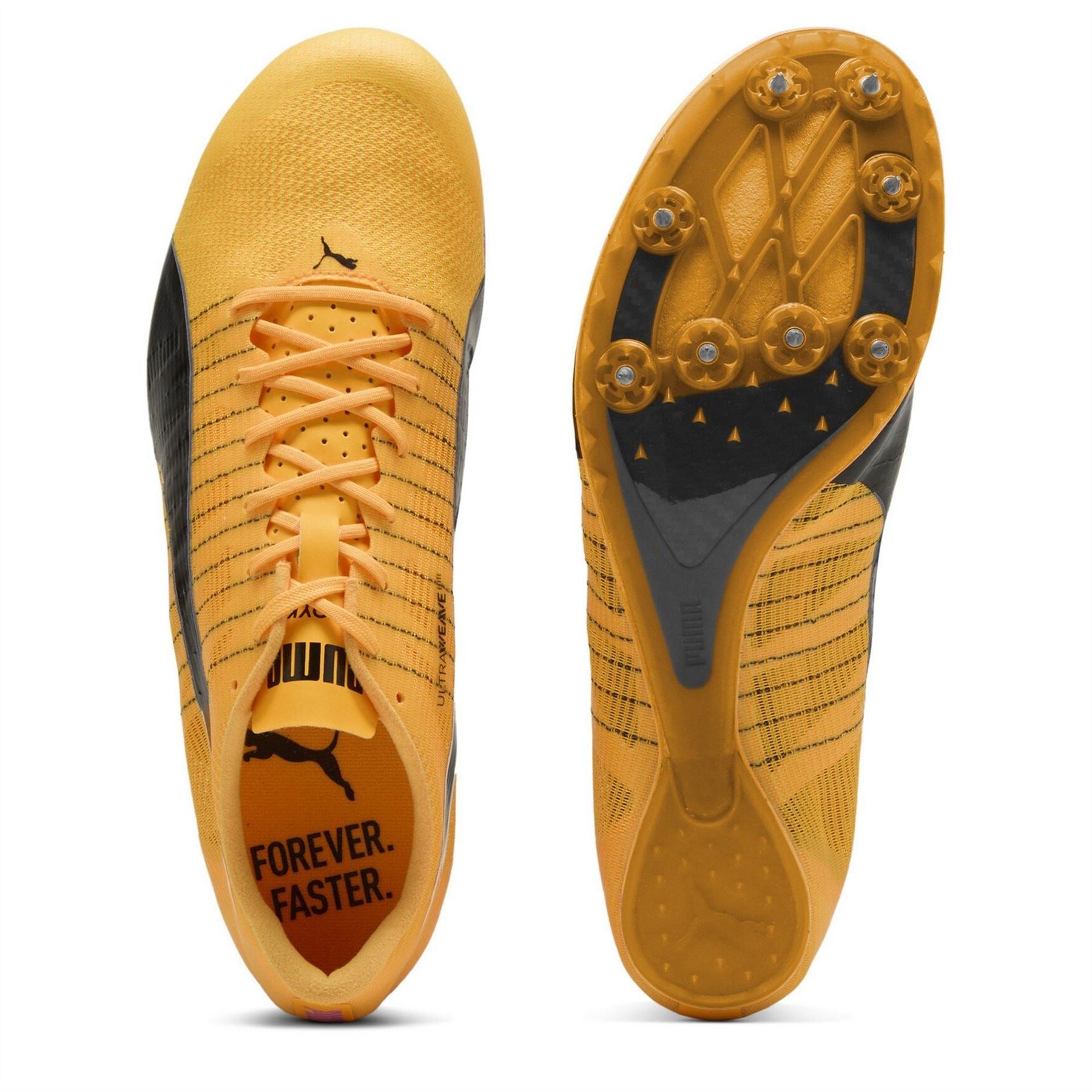 Puma Evospeed Future 6 Track Running Spikes