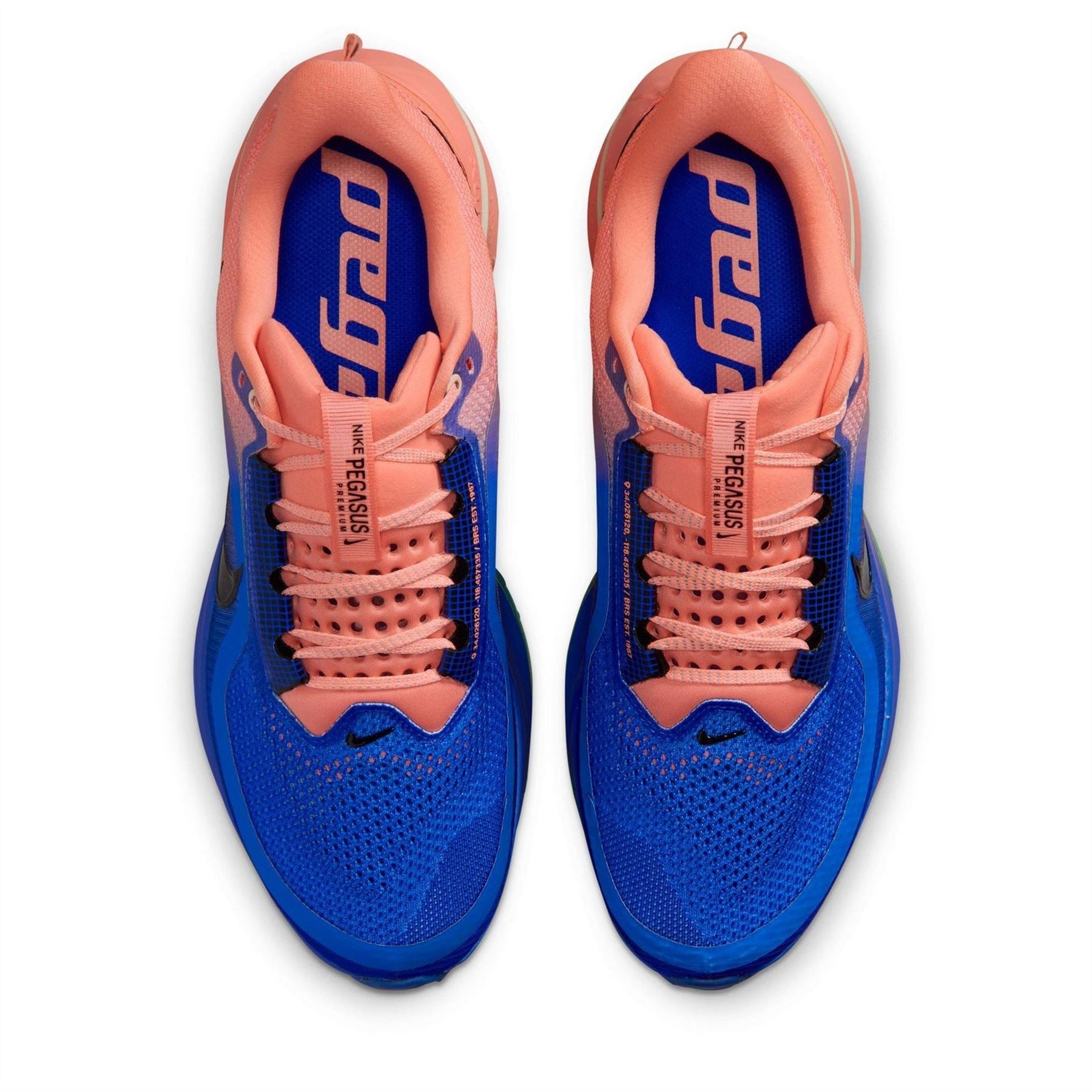 Nike Mens Pegasus Premium Running Shoes