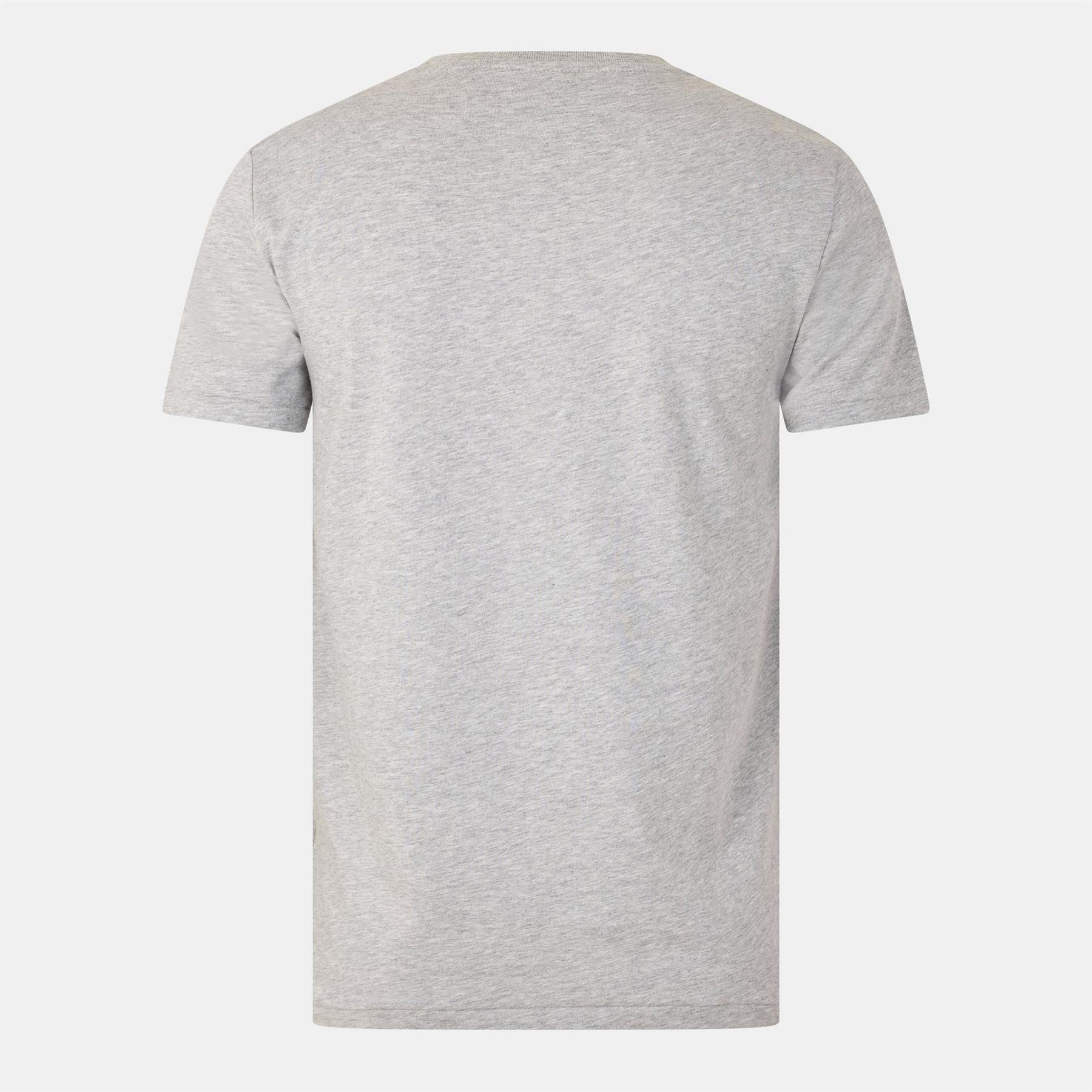 Polo Ralph Lauren Crest Logo Print Regular Fit Crew Neck T-Shirt