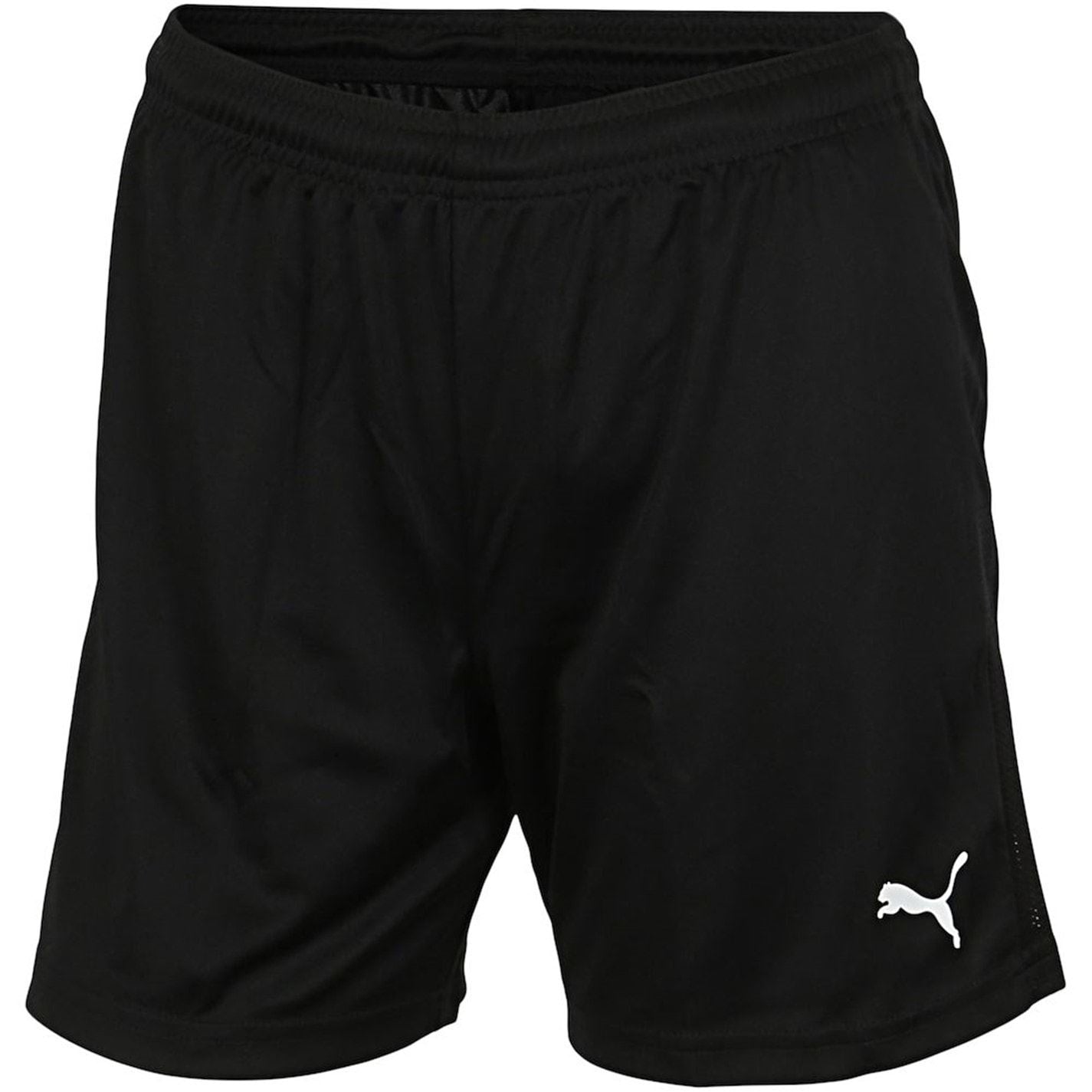 Puma Knit Soccer Shorts