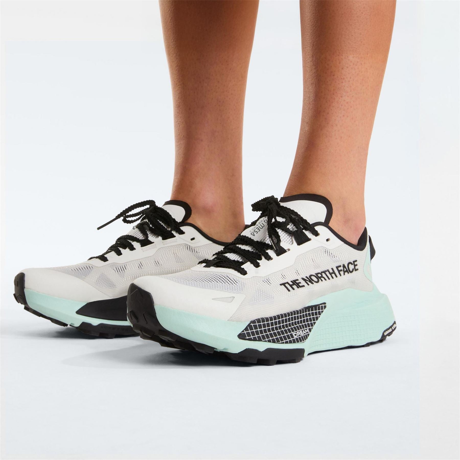 The North Face Womens Altamesa 500 V2