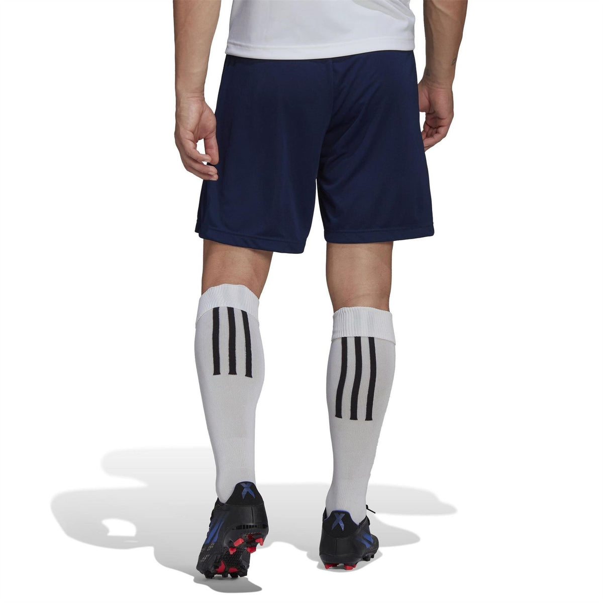 adidas Mens Entrada 22 Training Shorts